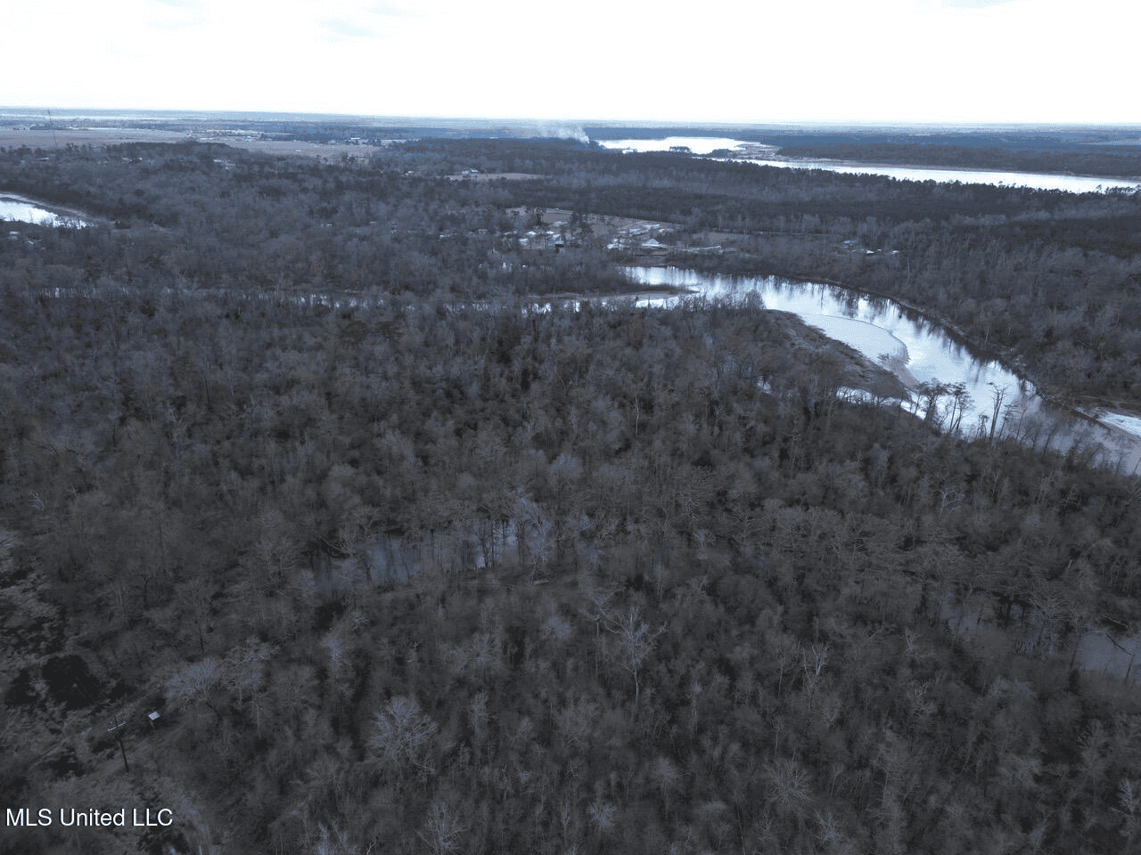 700 Acres in Allen Parish, Louisiana