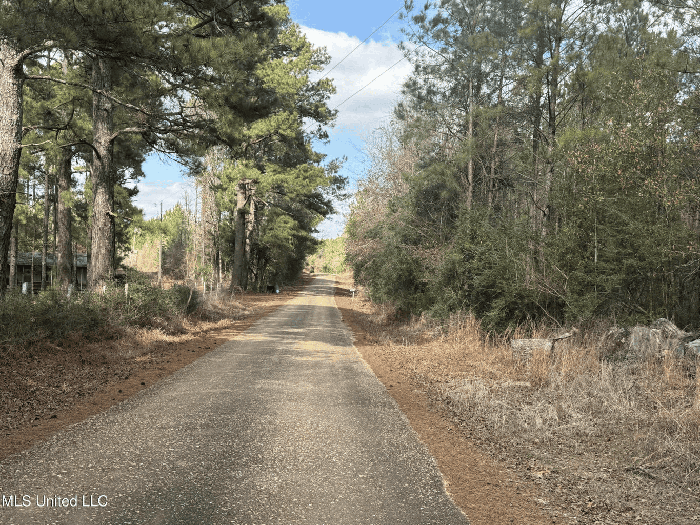 220 Acres South MS Hunting Tract with Camp/Homesite