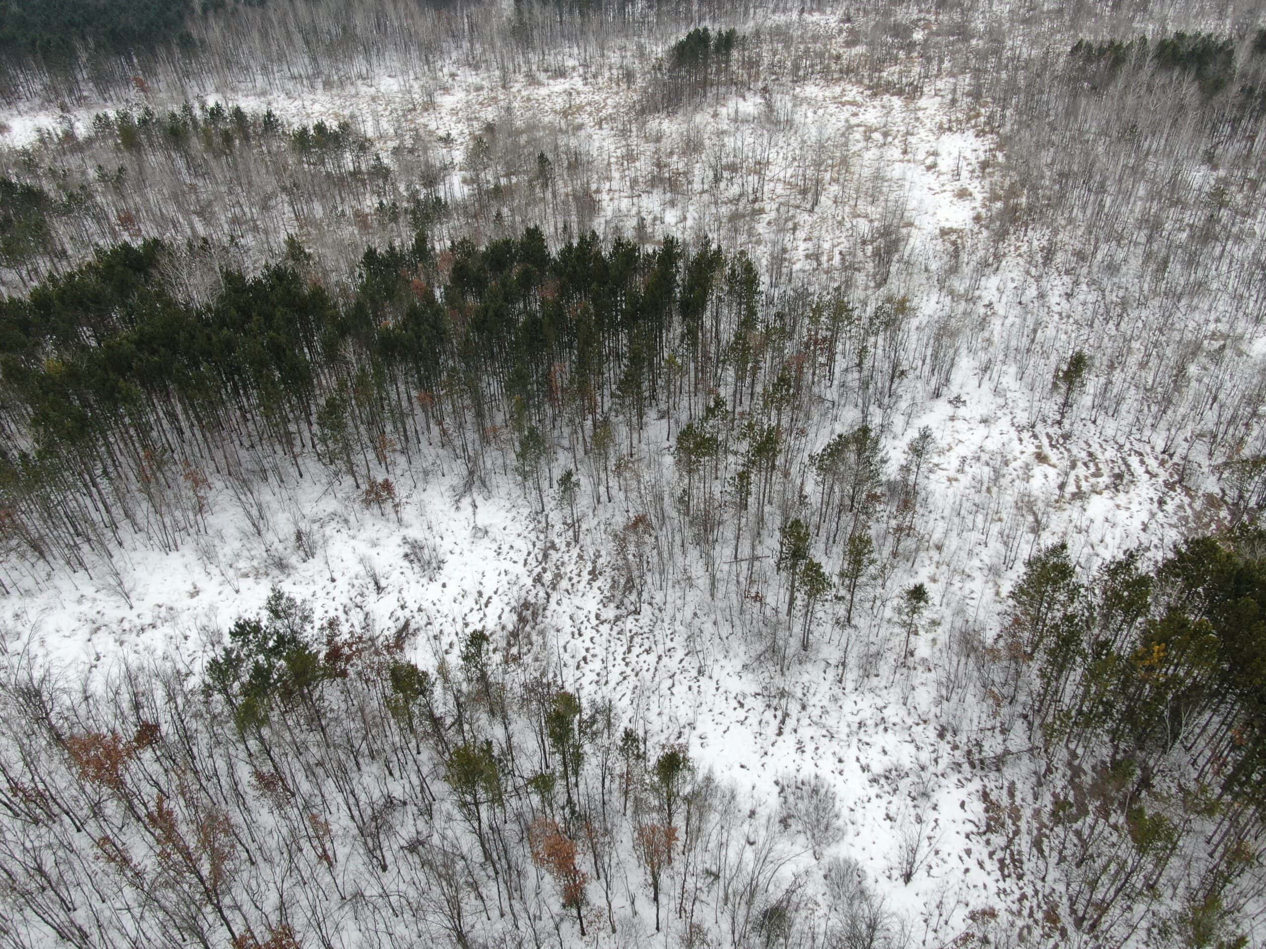 81.64± Acre Parcel in the Town of Clearfield, Juneau County