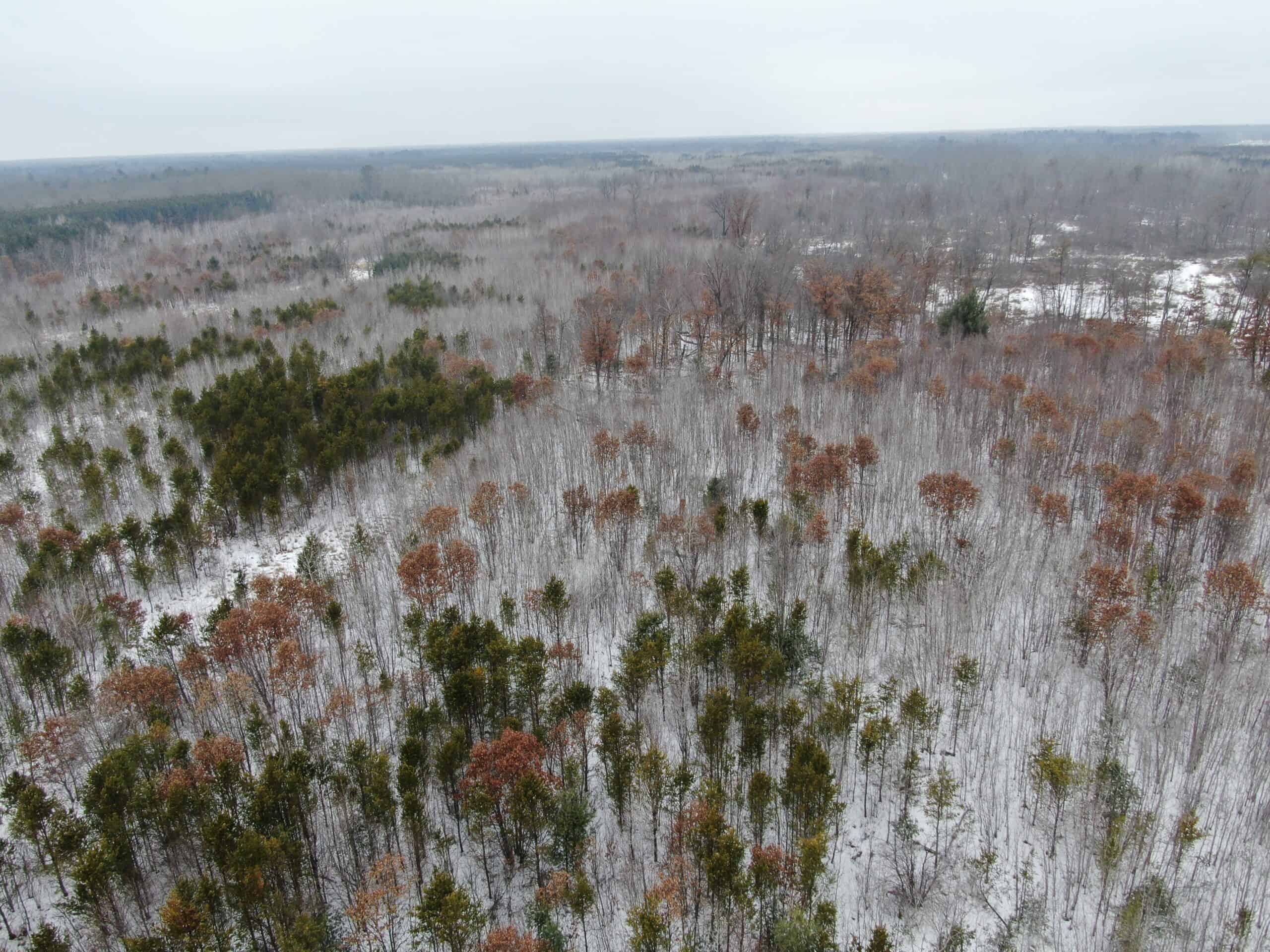 120± Acre Property in the Town of Clearfield, Juneau County