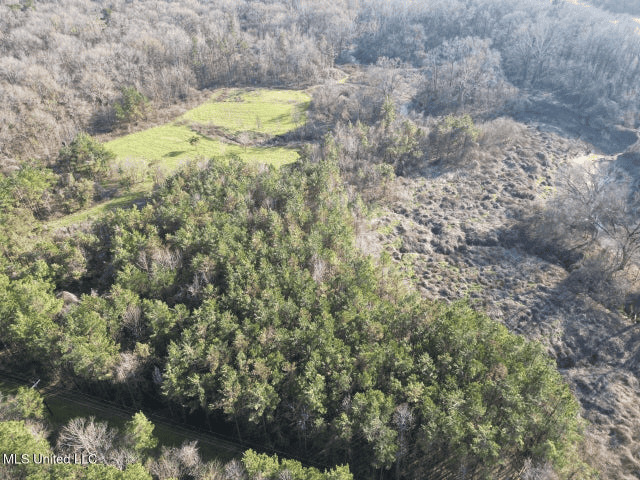 140 Acres with Farmhouse in Lorman, Mississippi