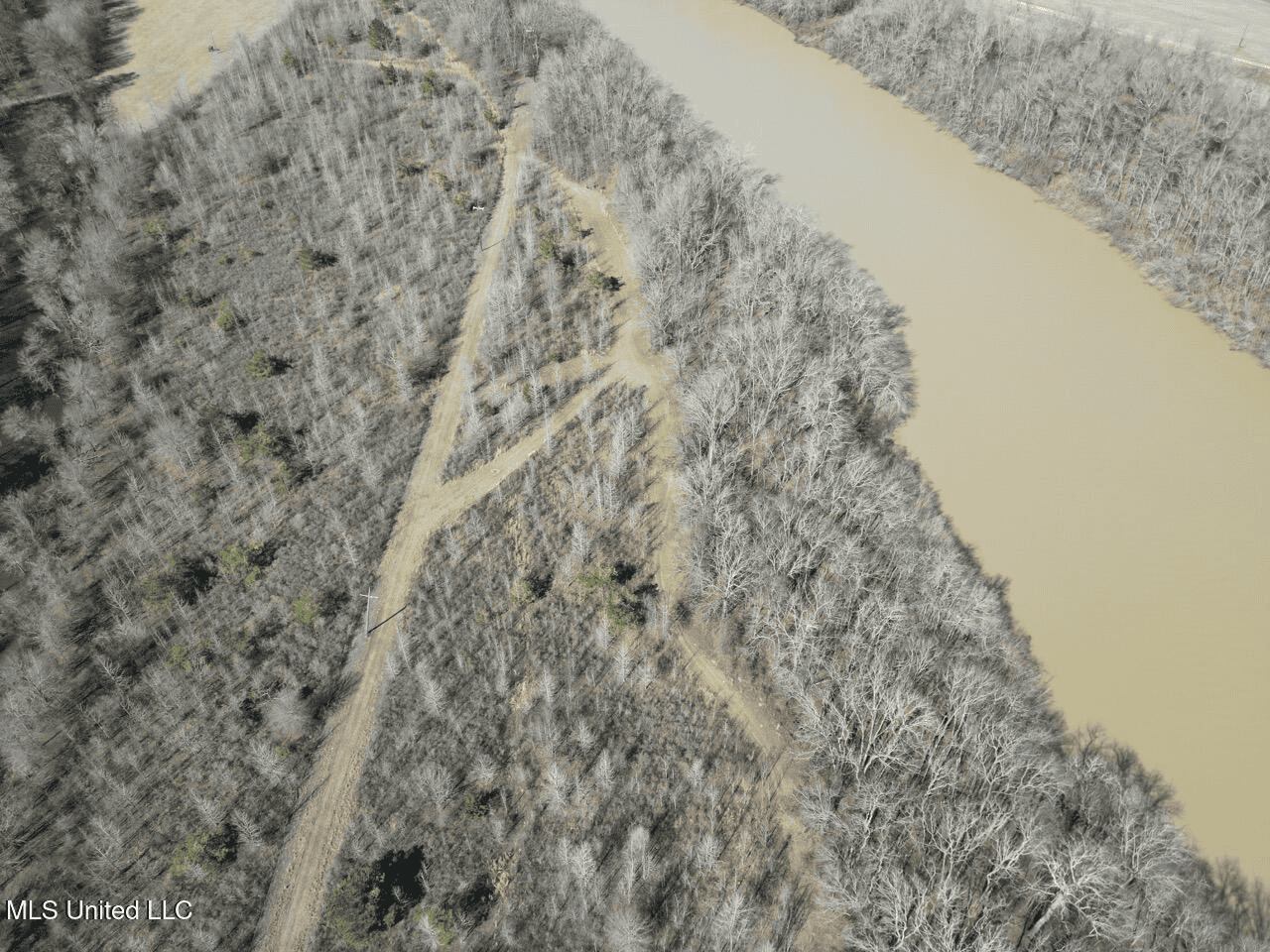 Tensas Riverfront Hunting Land Concordia Parish, LA