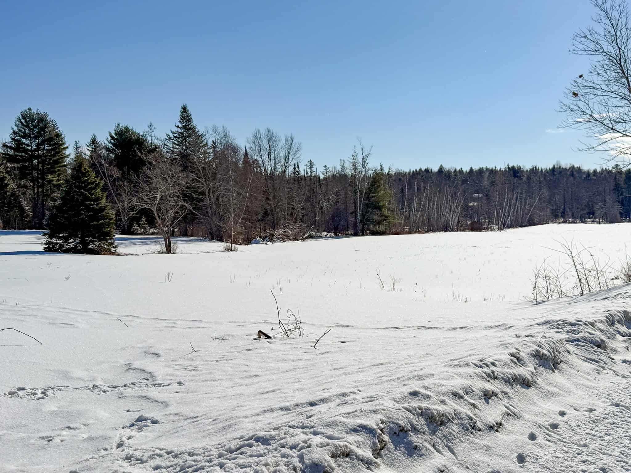 62± Acres with Over a Mile River Frontage in Maine’s North Woods
