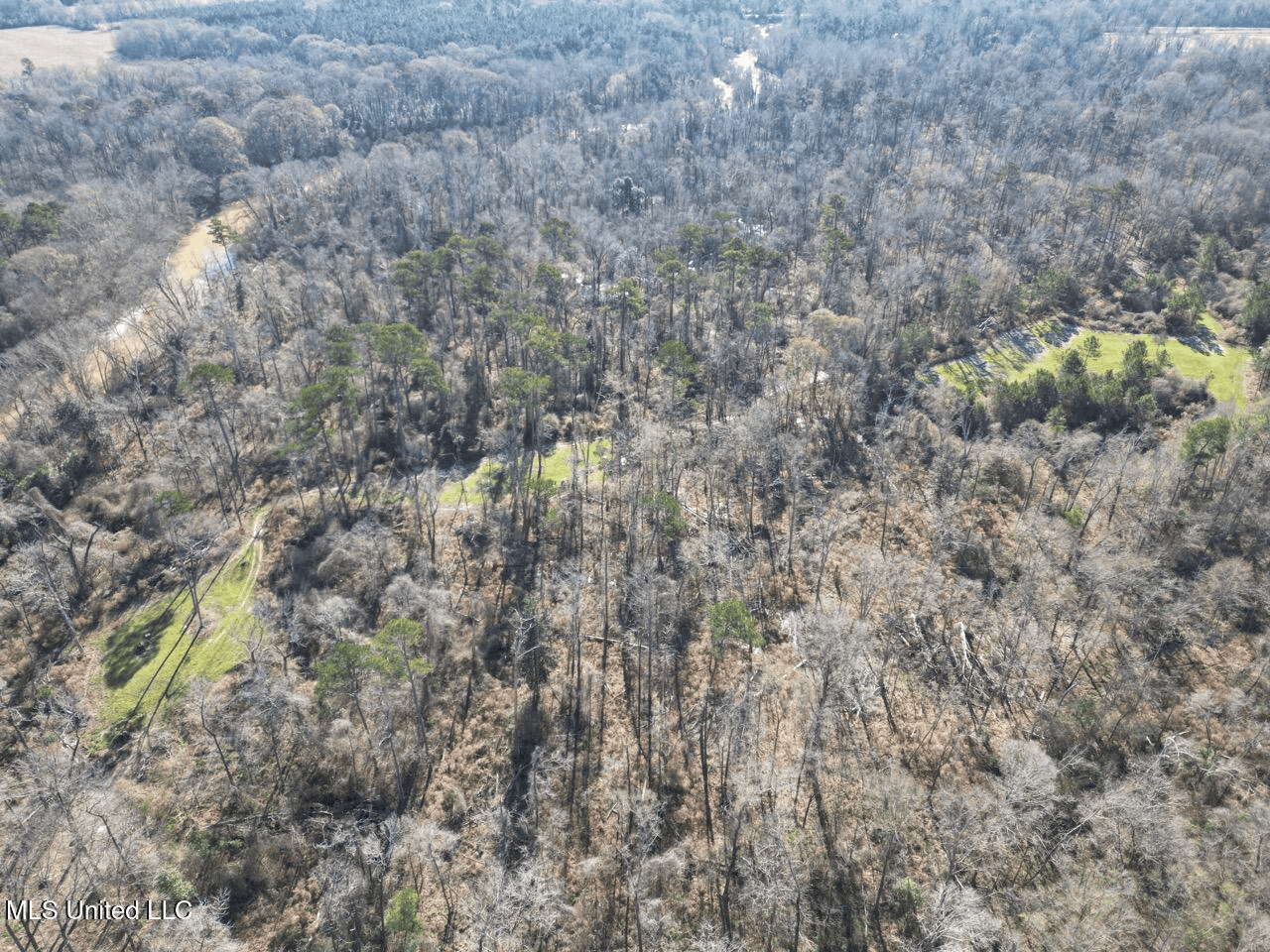 255 Acres East Baton Rouge Parish Near Zachary, LA