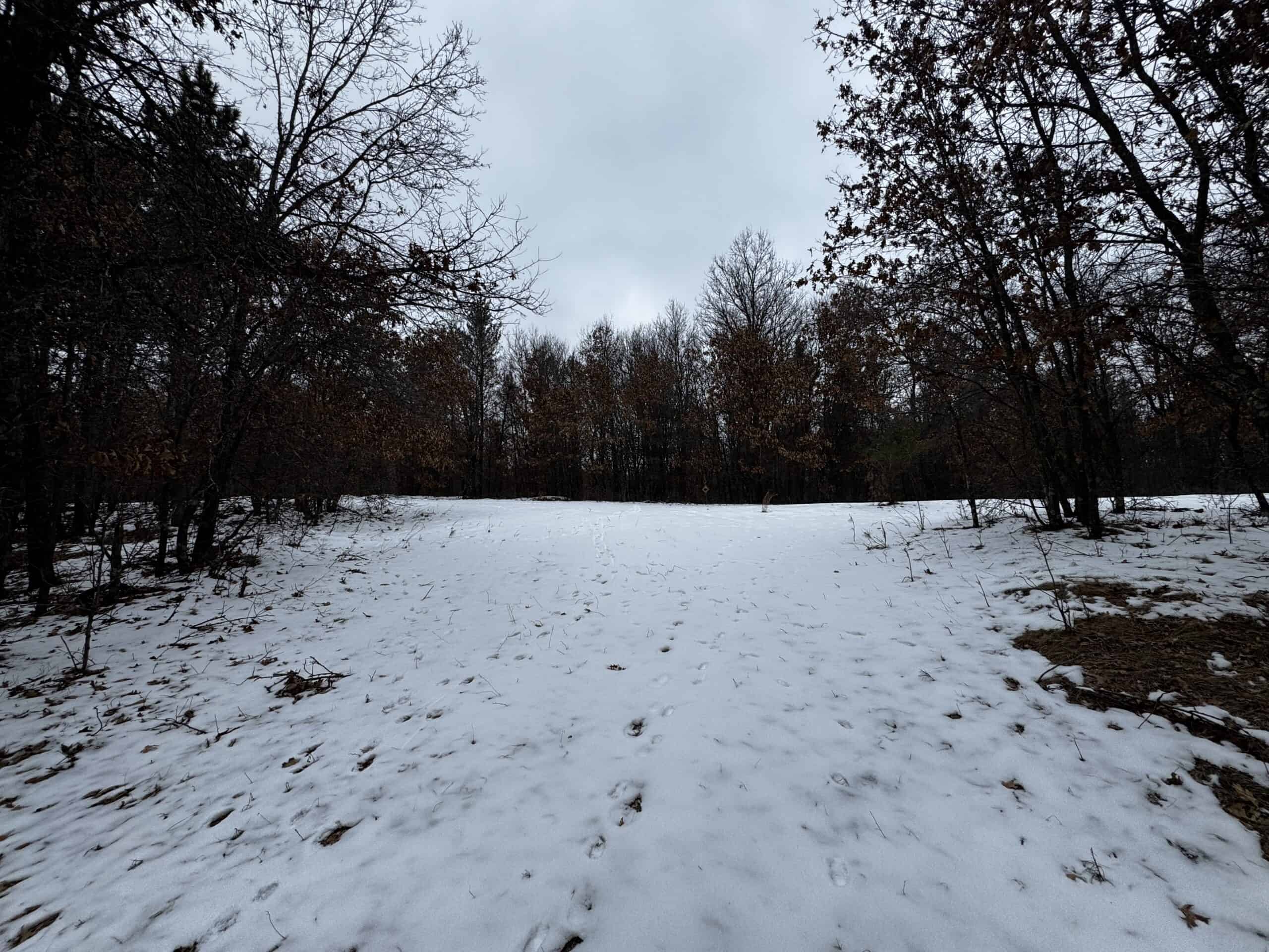 120± acre tract in the Town of Clearfield, Juneau County