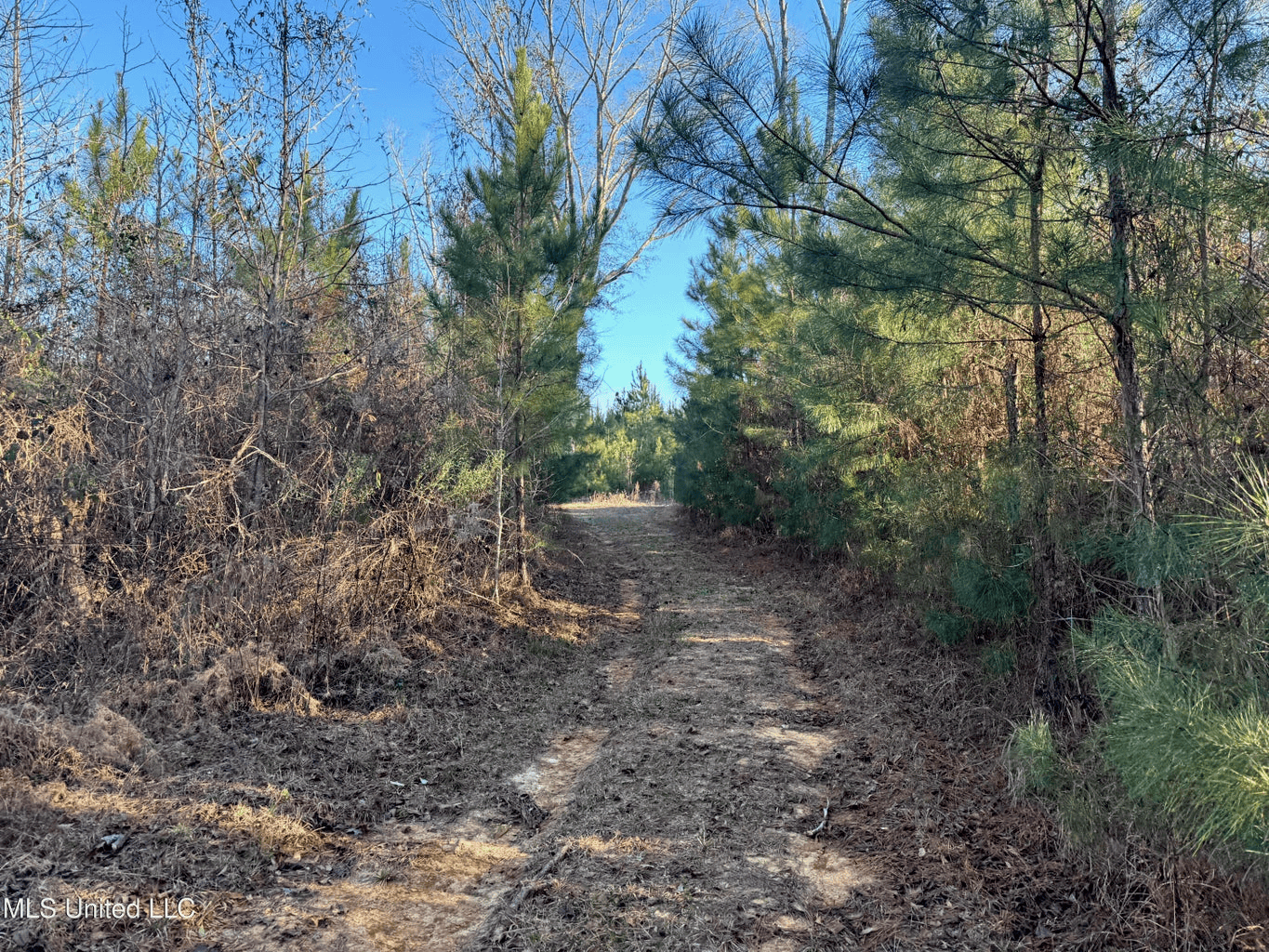 South MS Camp and Land Bordering the National Forest