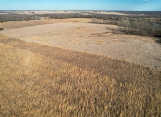 Appanoose County 41 +/- Acres – Income Producing Hunting & Investment Property