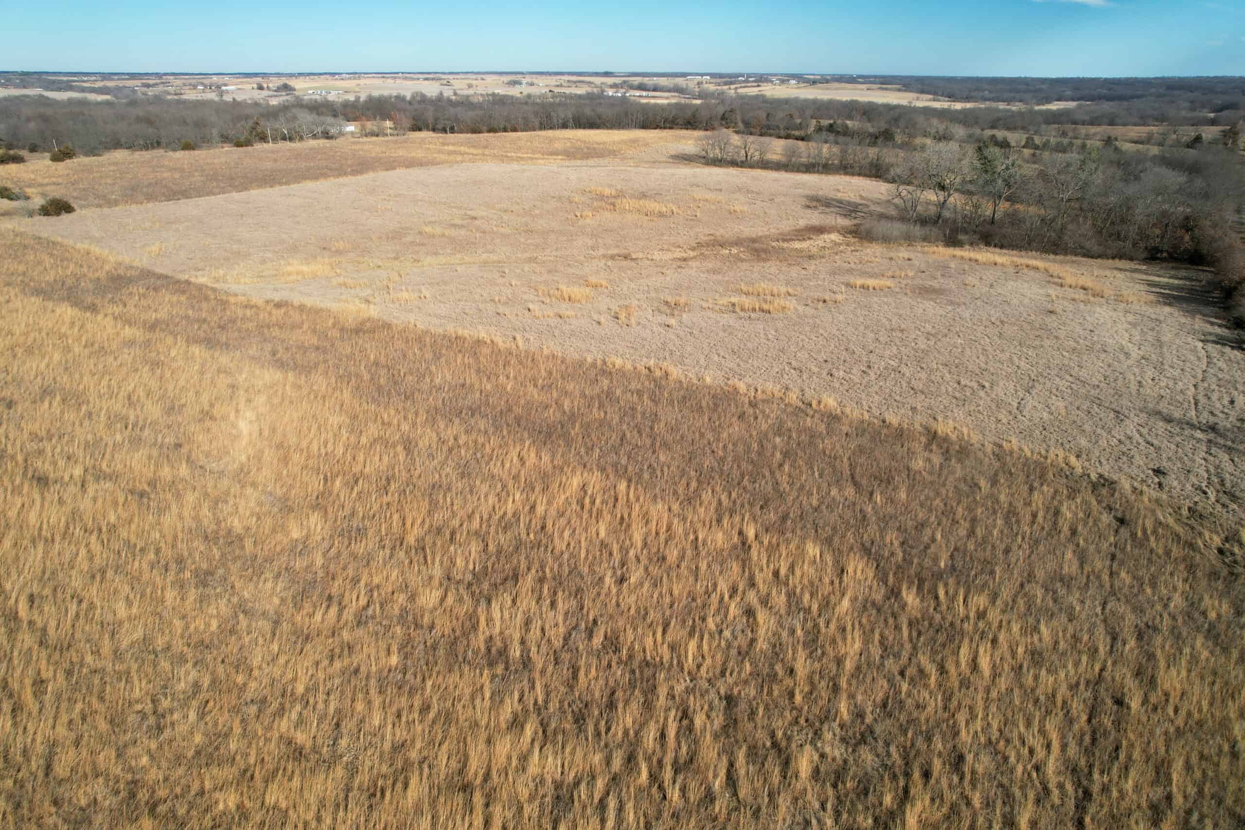 Appanoose County 41 +/- Acres – Income Producing Hunting & Investment Property