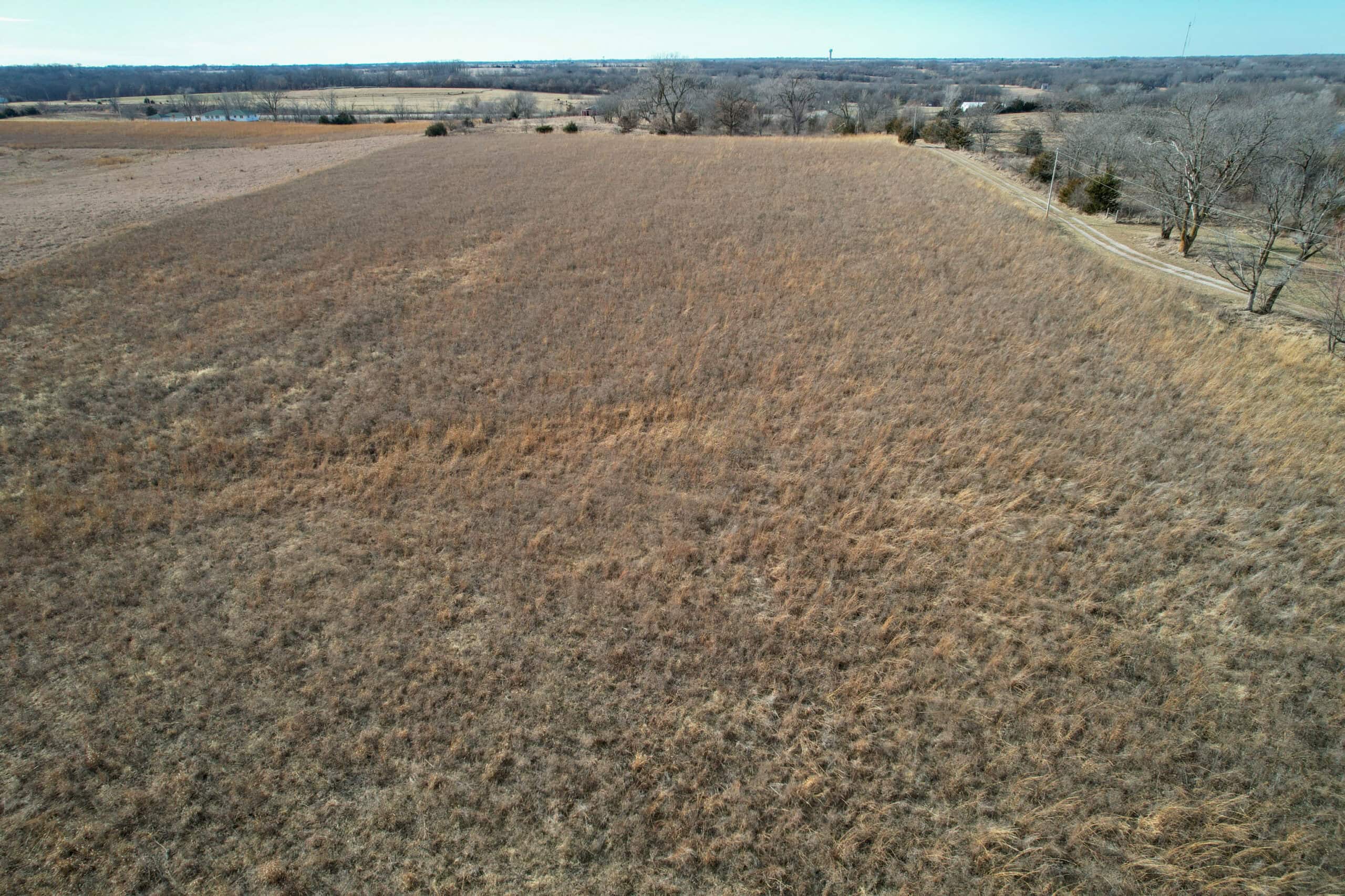 Appanoose County 41 +/- Acres – Income Producing Hunting & Investment Property