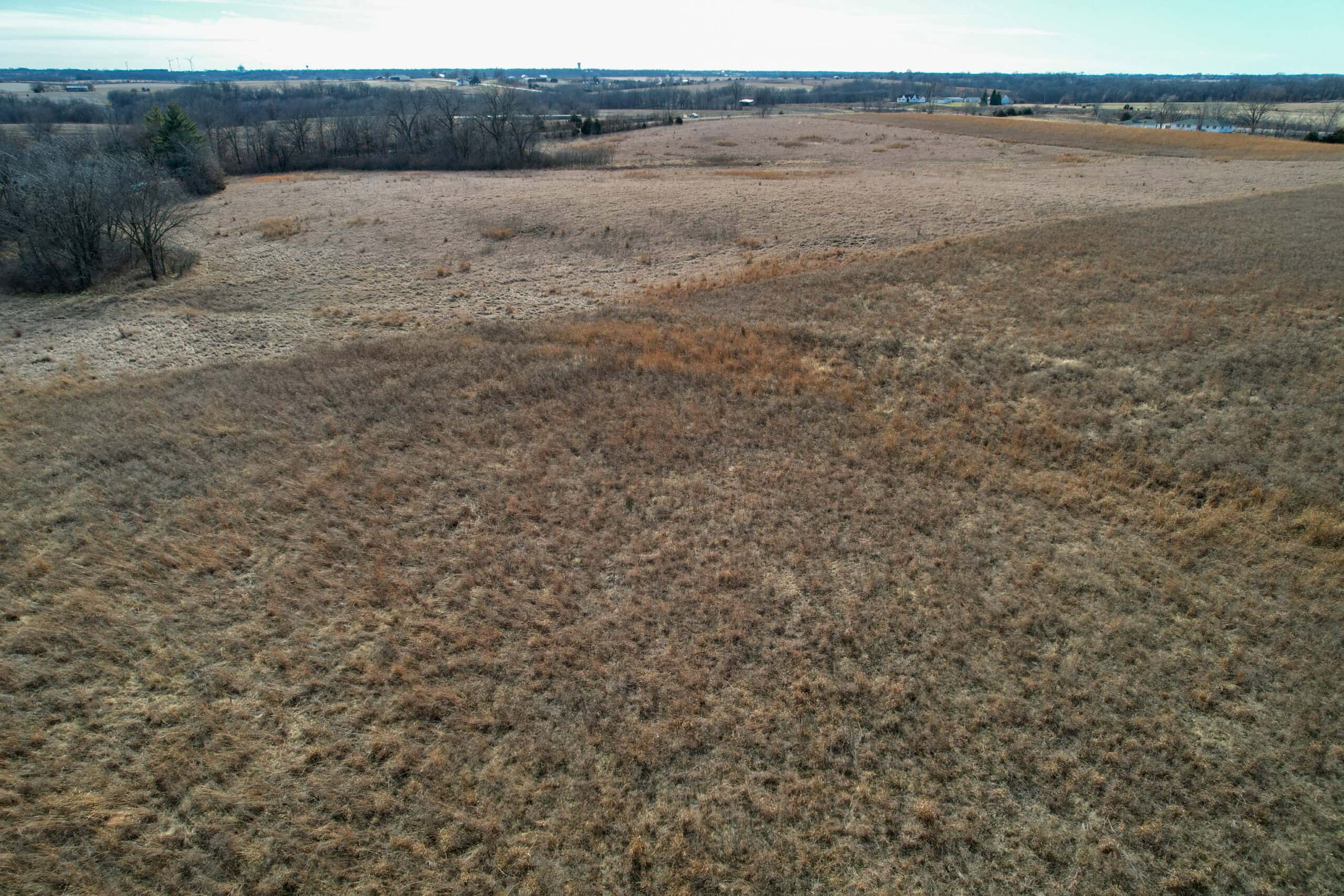Appanoose County 41 +/- Acres – Income Producing Hunting & Investment Property