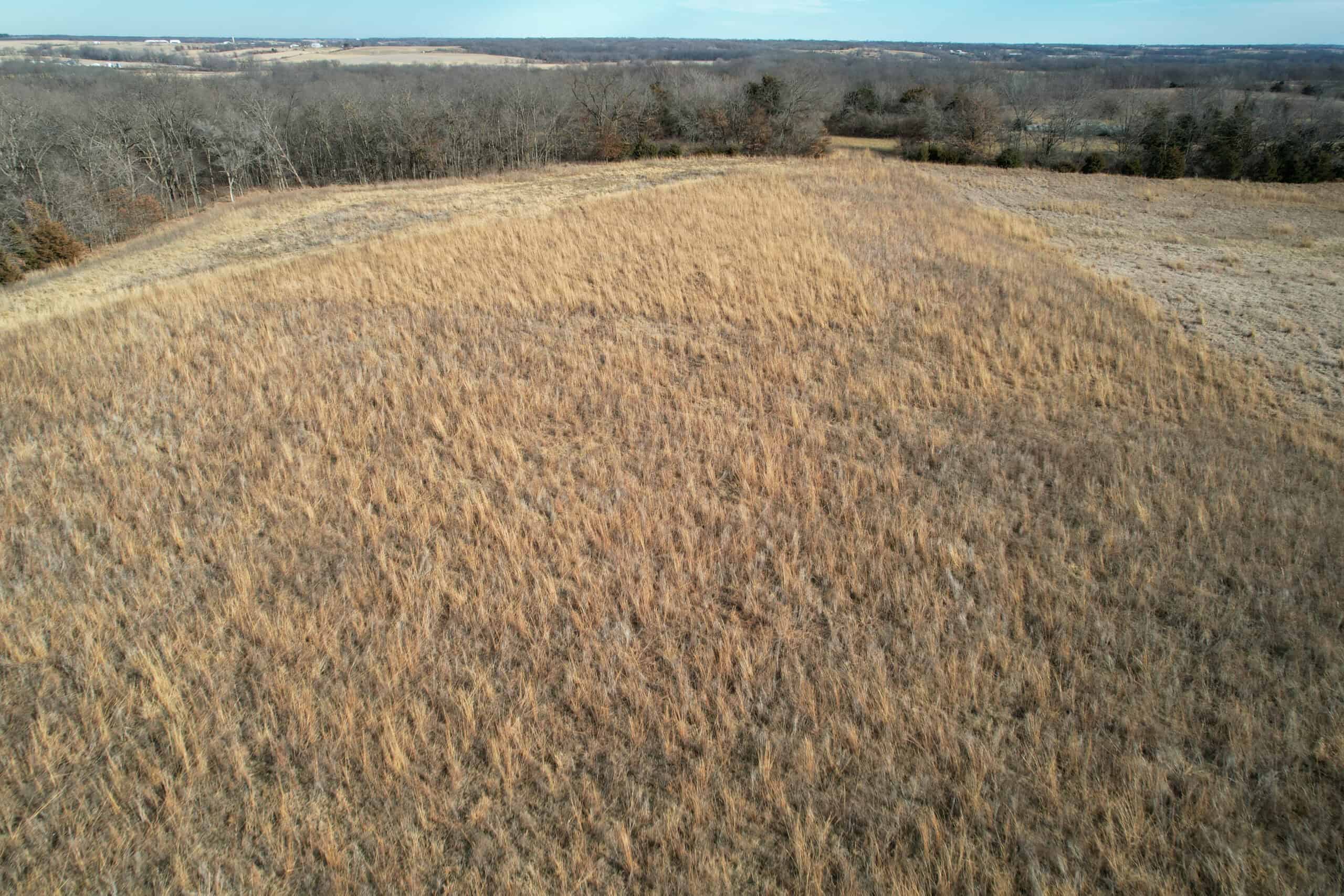 Appanoose County 41 +/- Acres – Income Producing Hunting & Investment Property