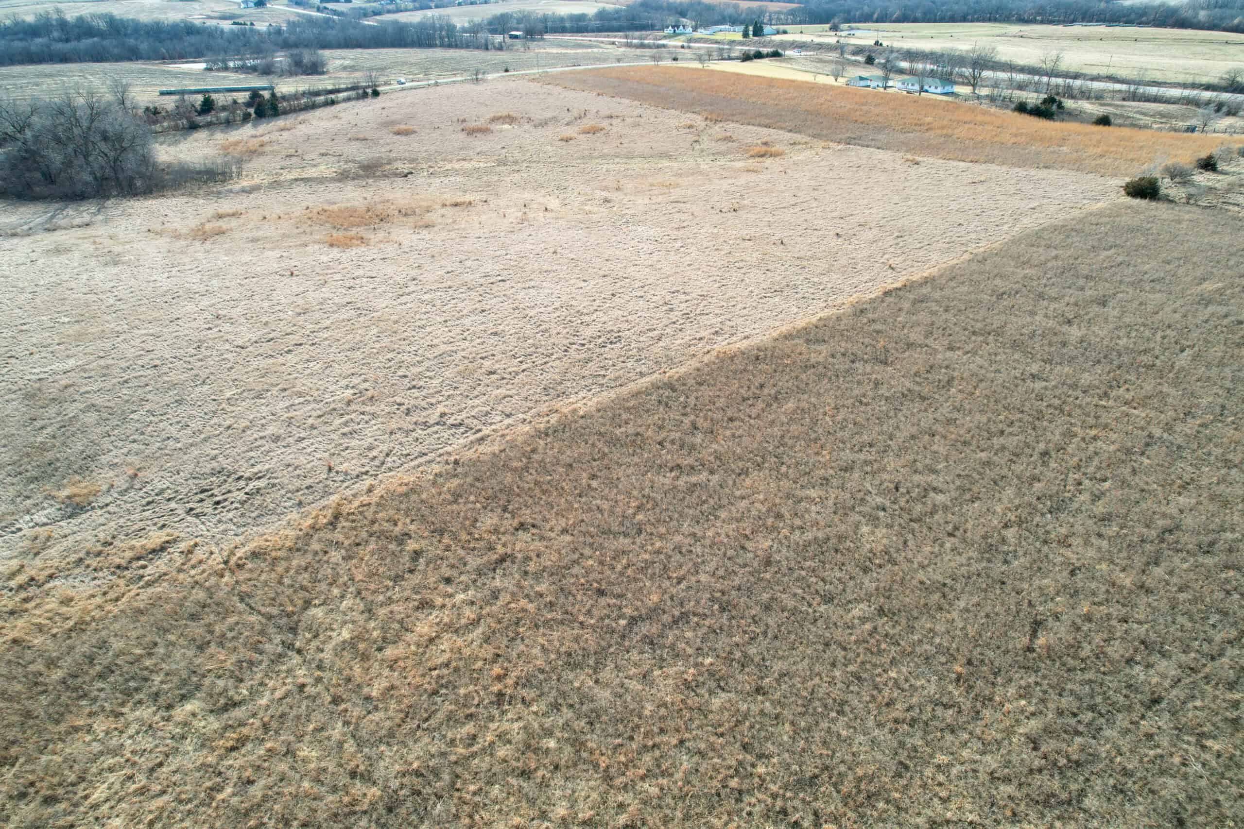 Appanoose County 41 +/- Acres – Income Producing Hunting & Investment Property