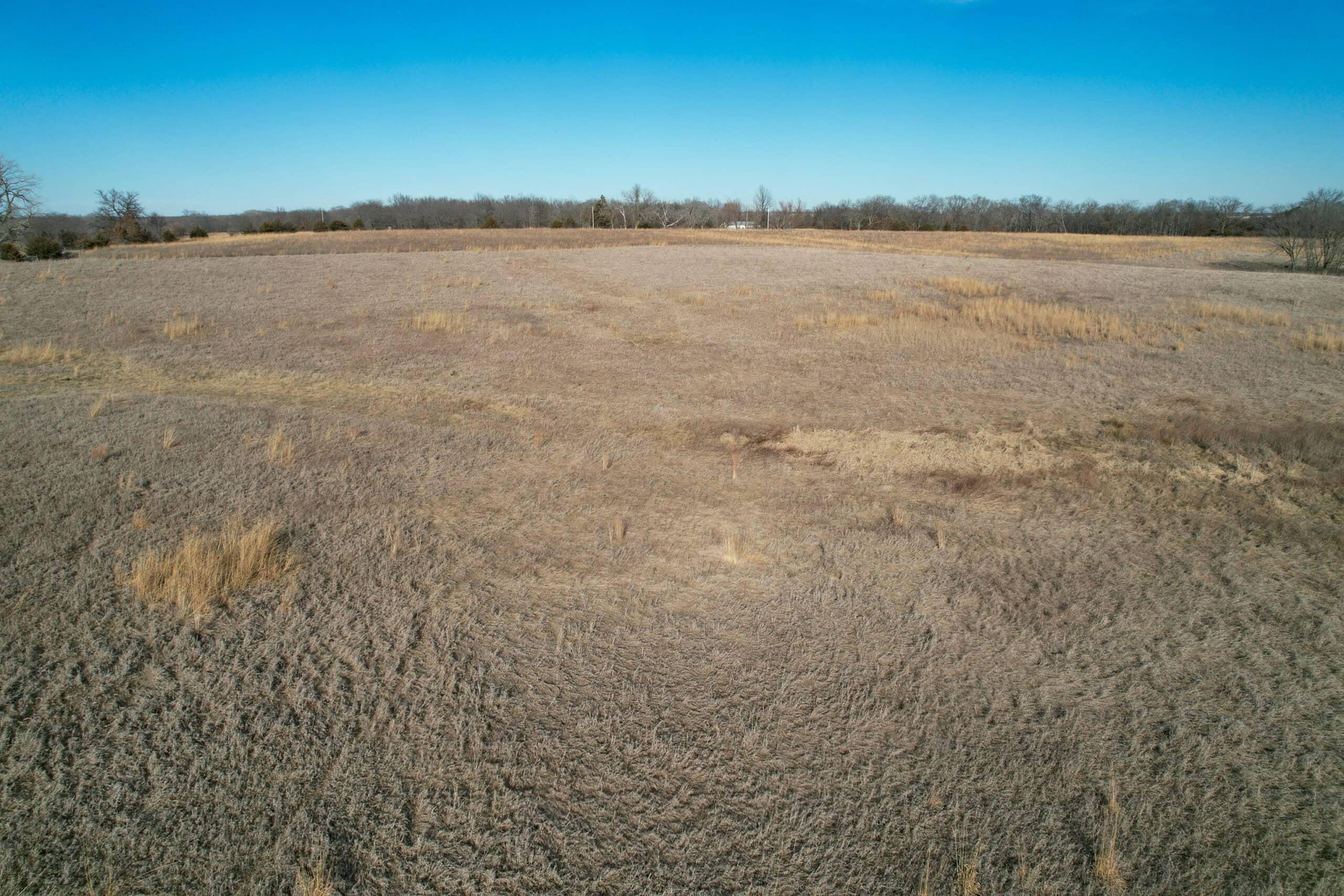 Appanoose County 41 +/- Acres – Income Producing Hunting & Investment Property