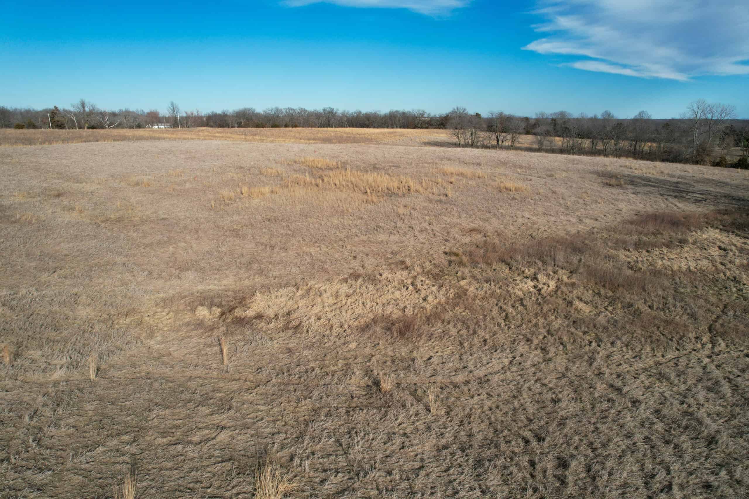 Appanoose County 41 +/- Acres – Income Producing Hunting & Investment Property