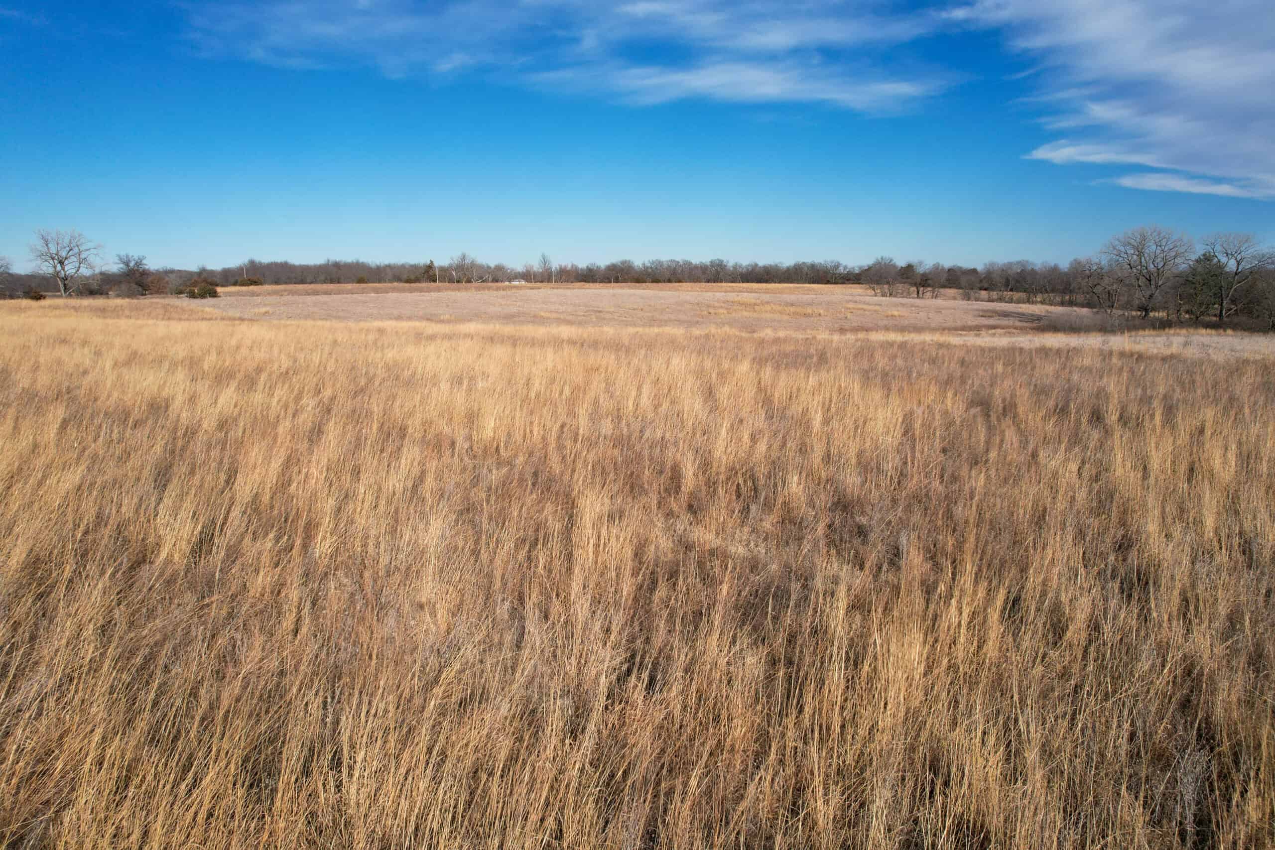 Appanoose County 41 +/- Acres – Income Producing Hunting & Investment Property
