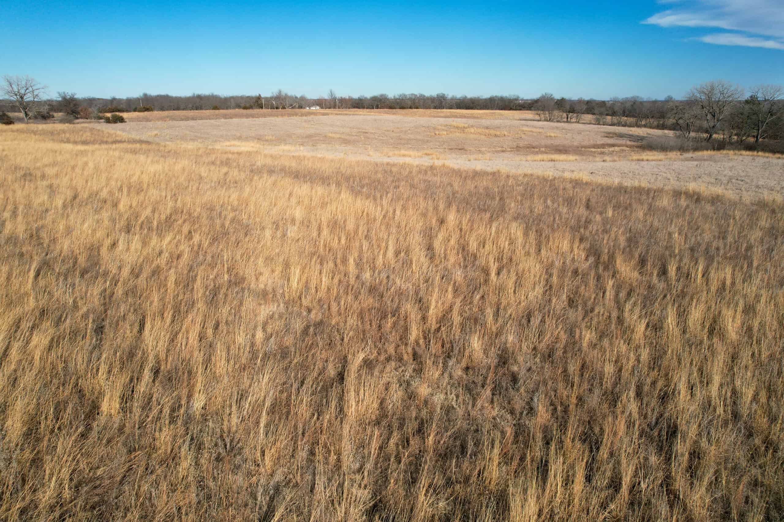 Appanoose County 41 +/- Acres – Income Producing Hunting & Investment Property