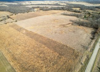 Appanoose County 41 +/- Acres – Income Producing Hunting & Investment Property