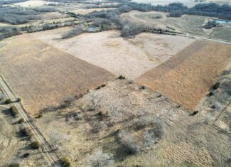 Appanoose County 41 +/- Acres – Income Producing Hunting & Investment Property