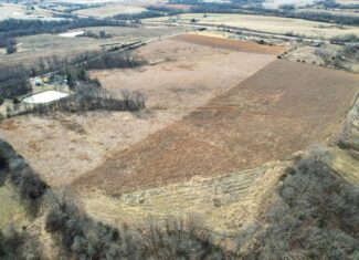 Appanoose County 41 +/- Acres – Income Producing Hunting & Investment Property