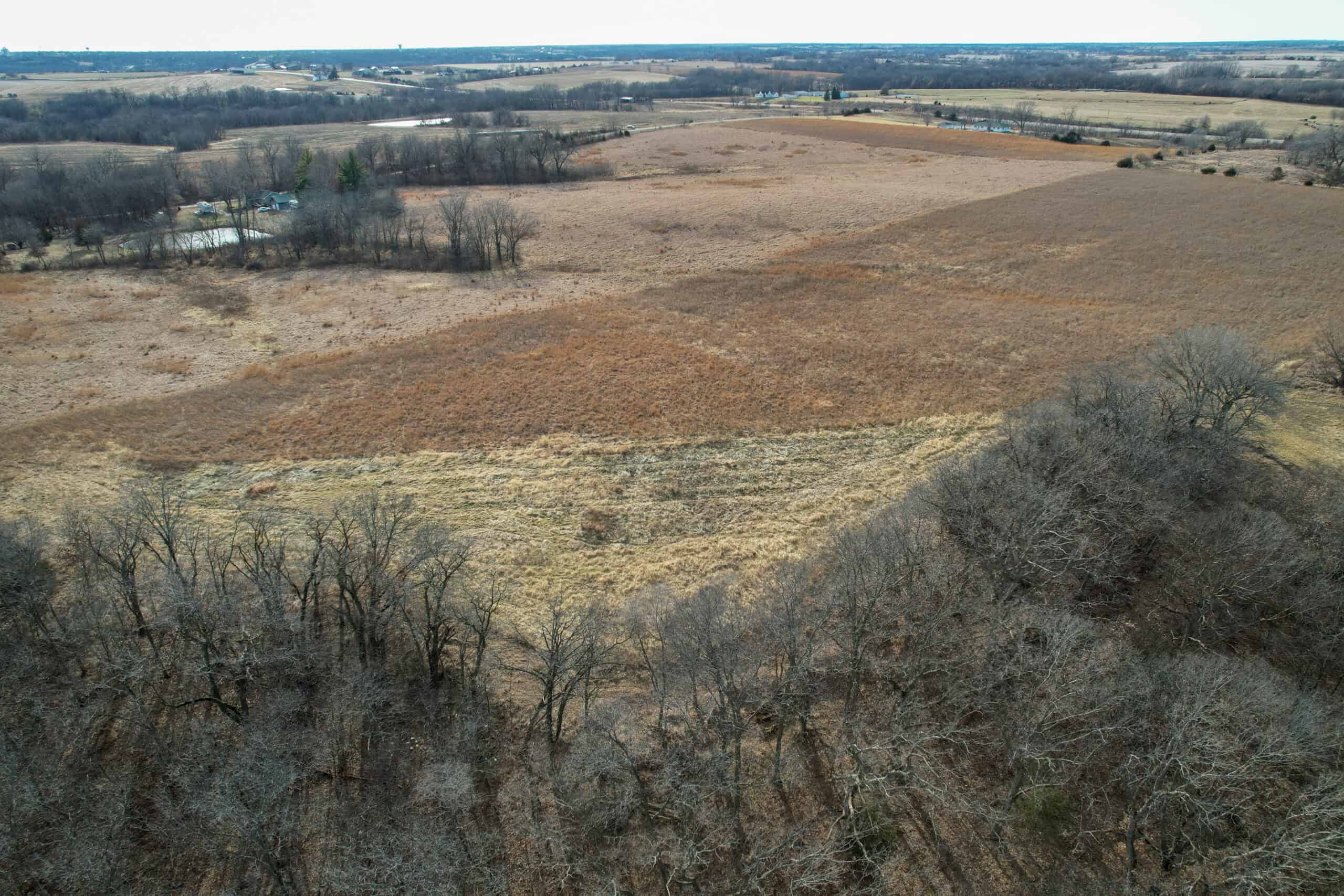 Appanoose County 41 +/- Acres – Income Producing Hunting & Investment Property