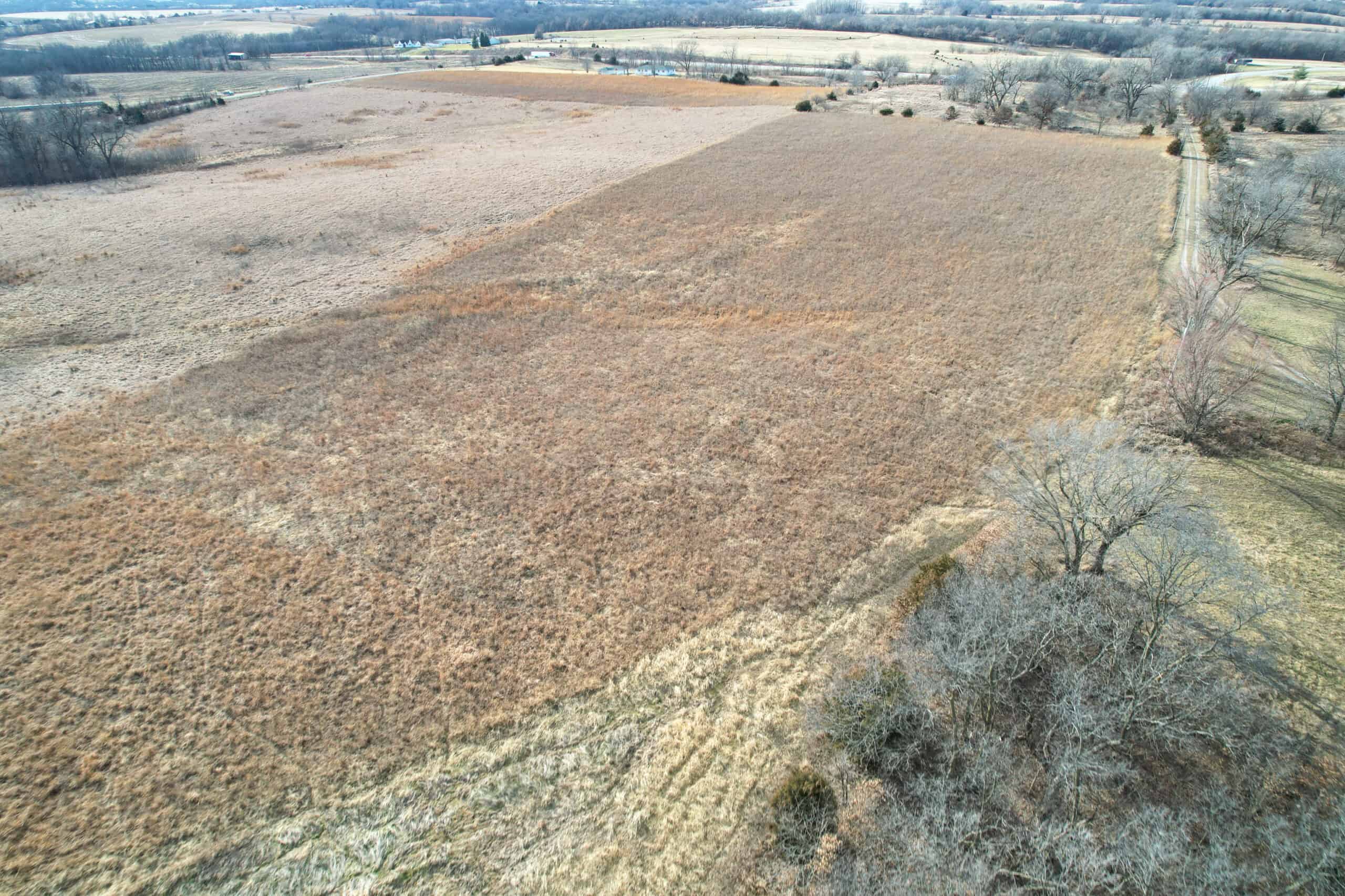 Appanoose County 41 +/- Acres – Income Producing Hunting & Investment Property