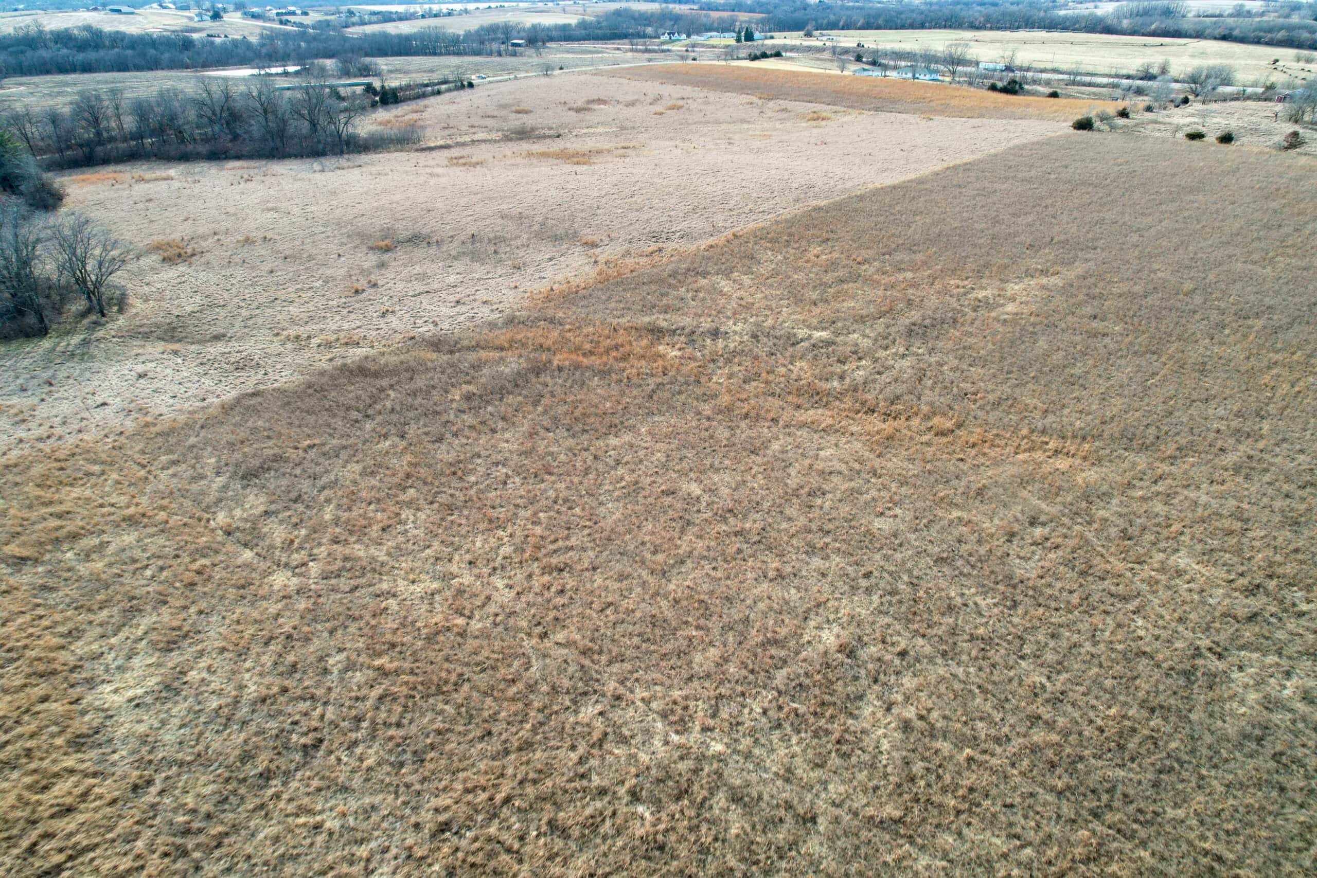 Appanoose County 41 +/- Acres – Income Producing Hunting & Investment Property