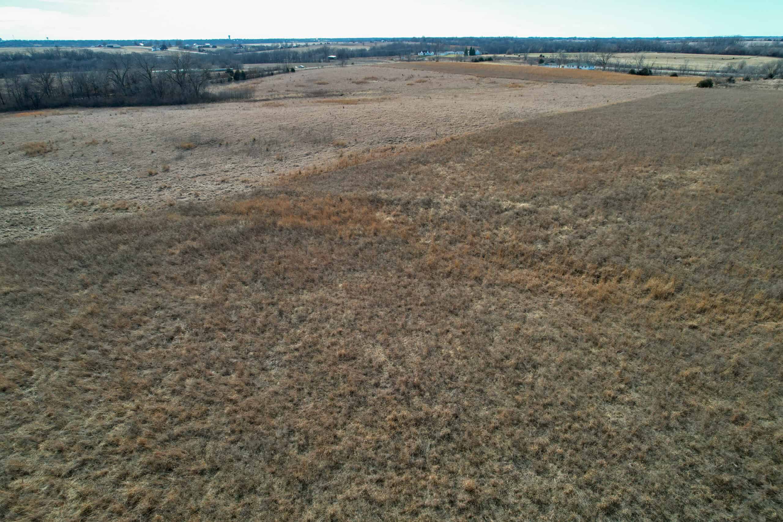 Appanoose County 41 +/- Acres – Income Producing Hunting & Investment Property