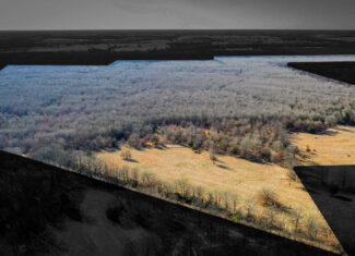 Recreational & Hunting Property in Lamar and Red River County, Texas