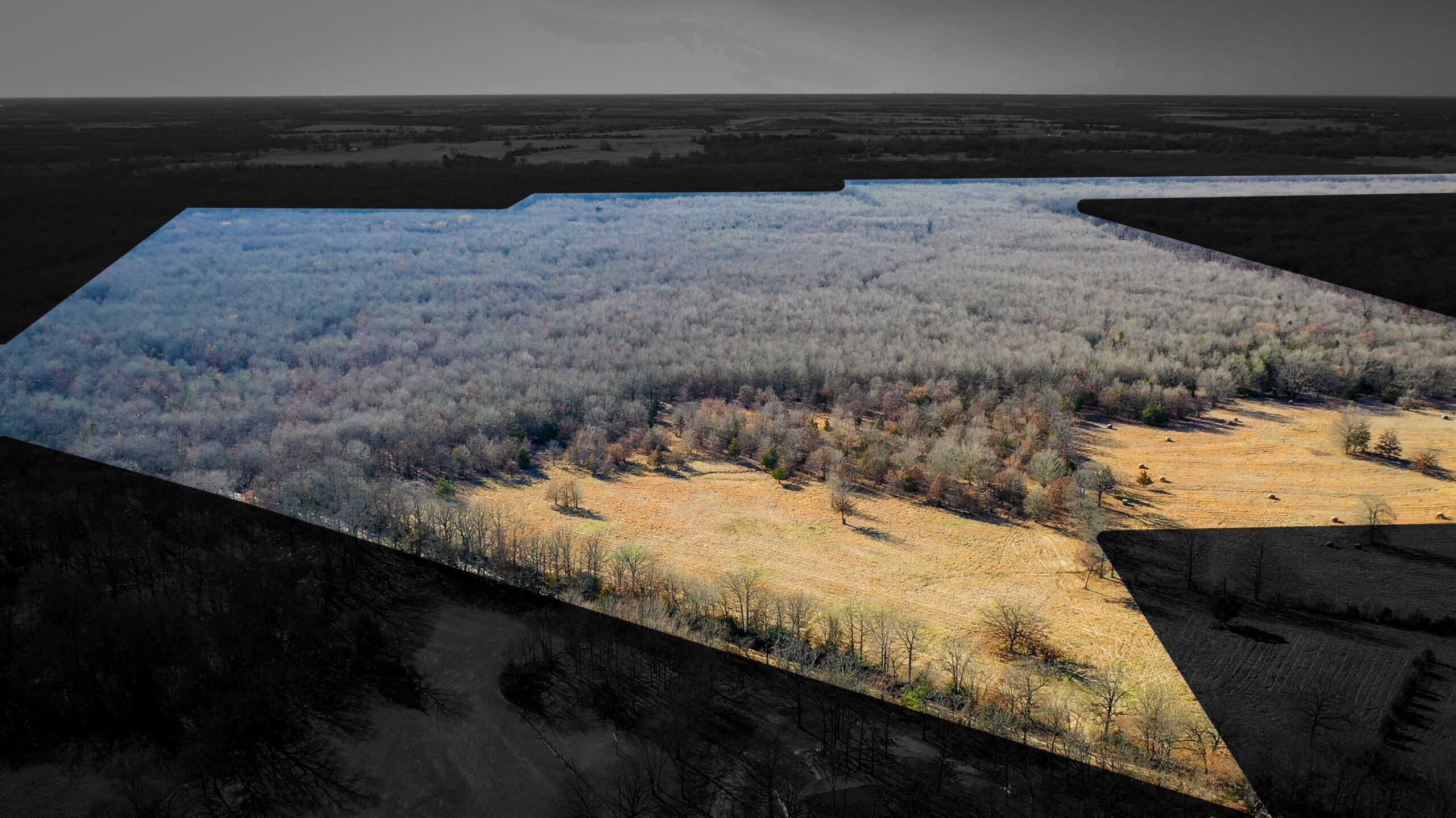 Recreational & Hunting Property in Lamar and Red River County, Texas
