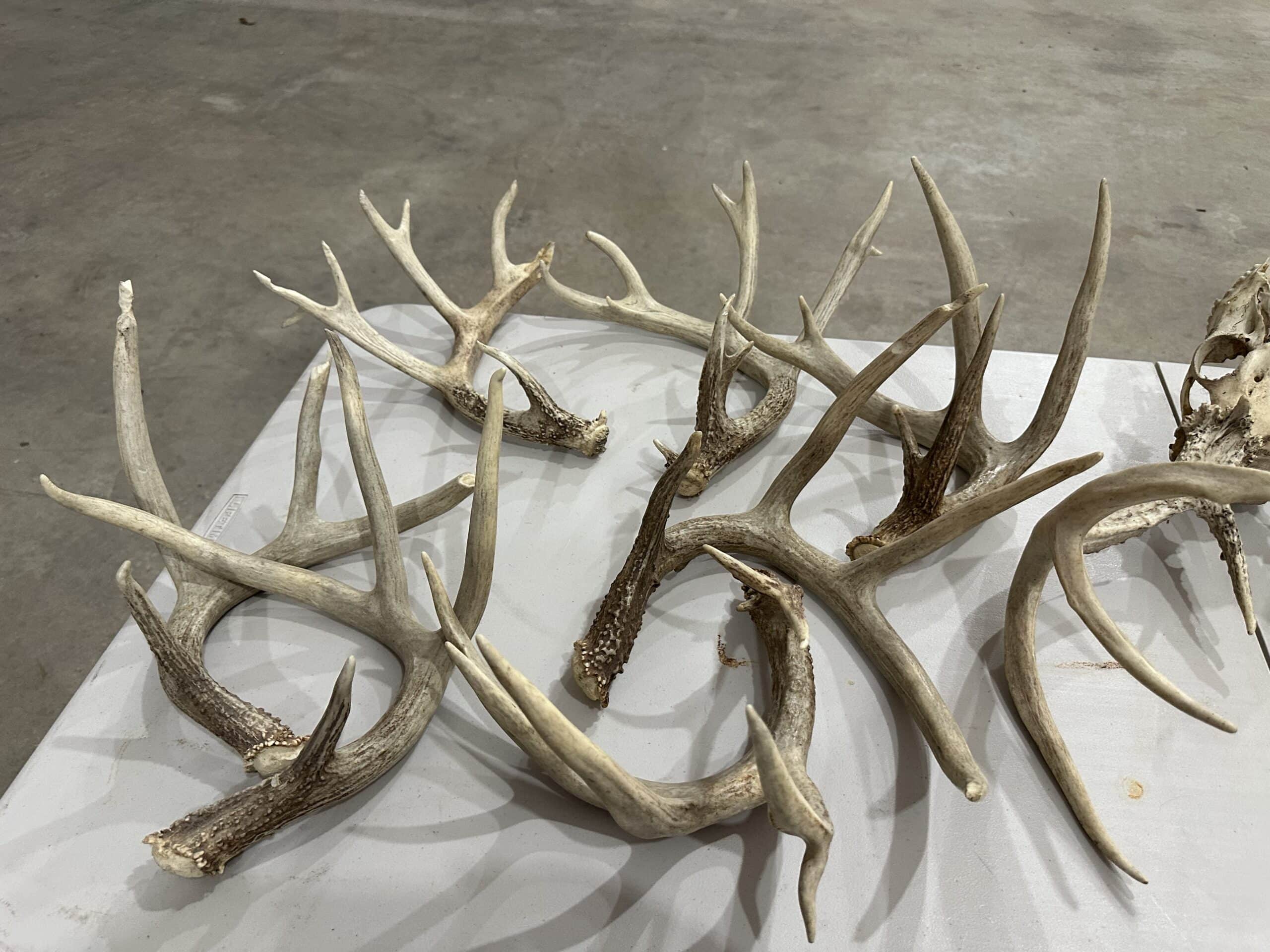 Premier Hunting Parcel in Clark County, Missouri