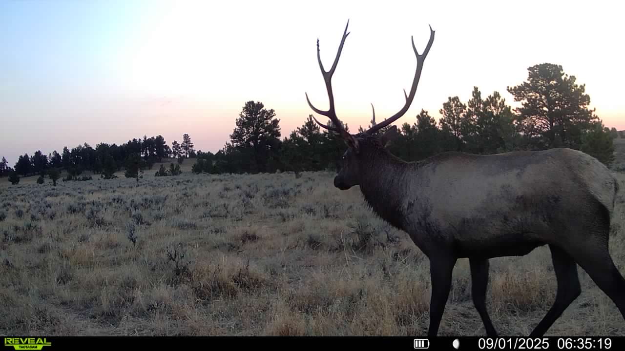 Newton Grove | Yellowstone County, Montana