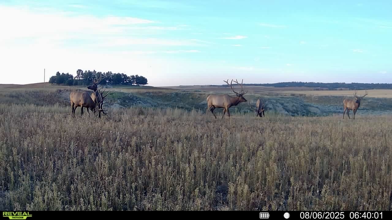 Newton Grove | Yellowstone County, Montana