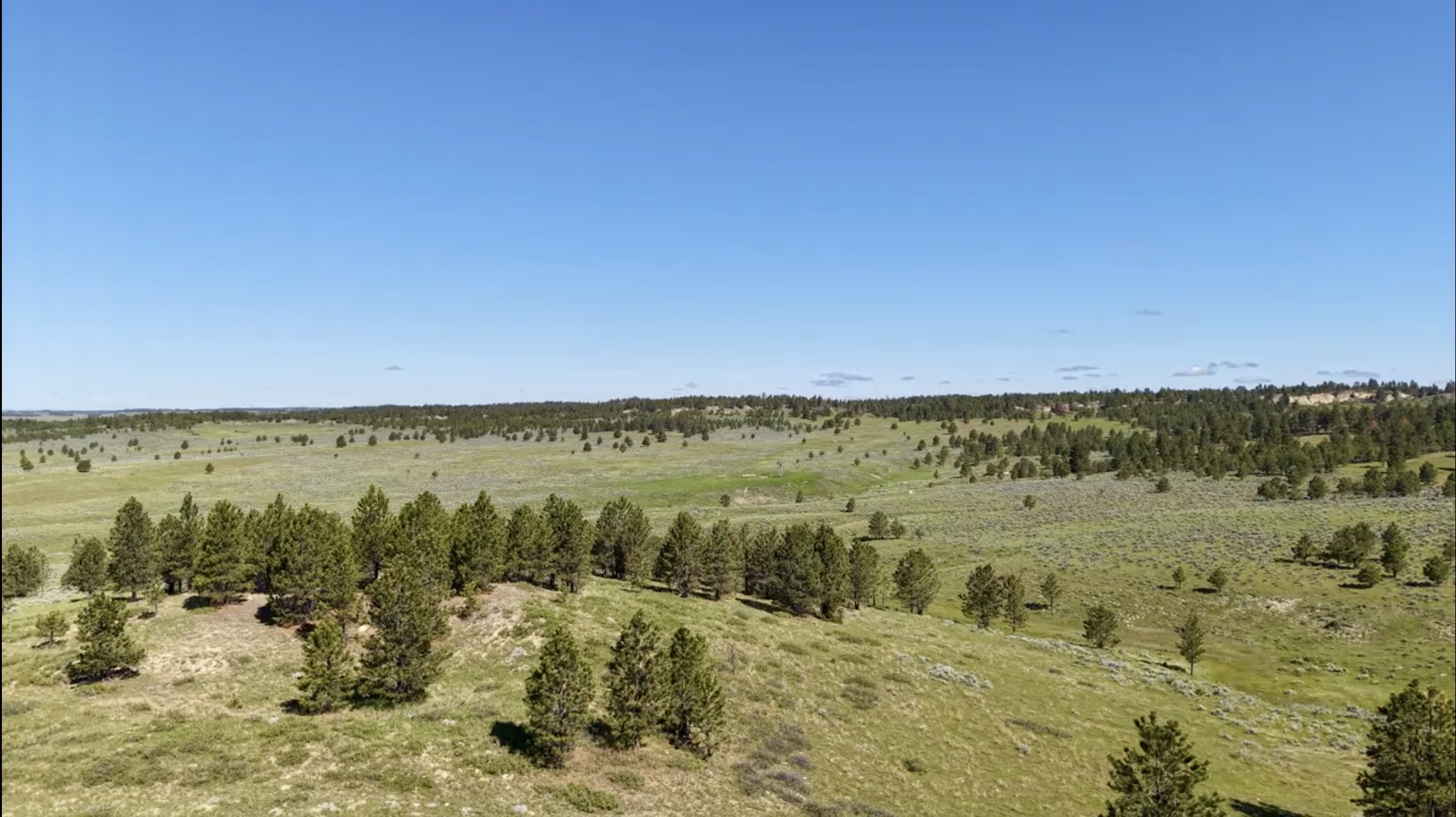 Newton Grove | Yellowstone County, Montana