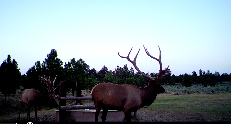 Newton Grove | Yellowstone County, Montana