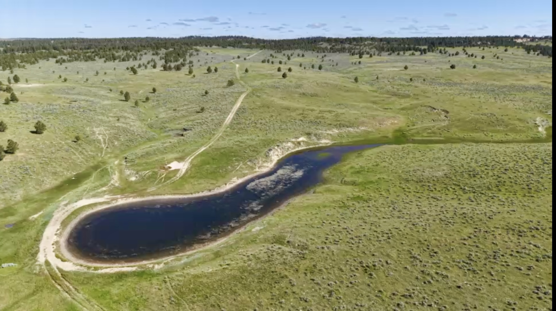 Newton Grove | Yellowstone County, Montana