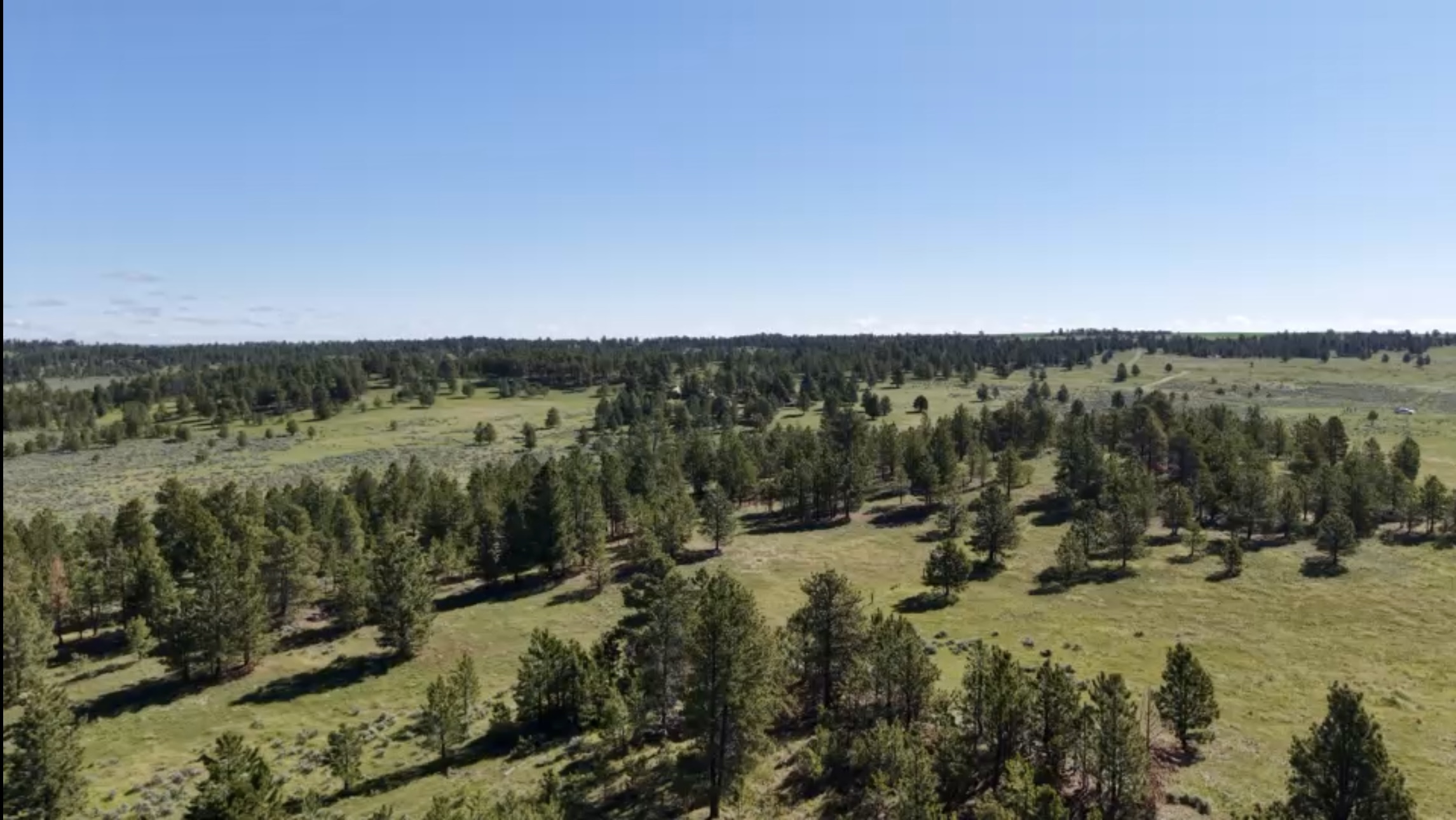Newton Grove | Yellowstone County, Montana