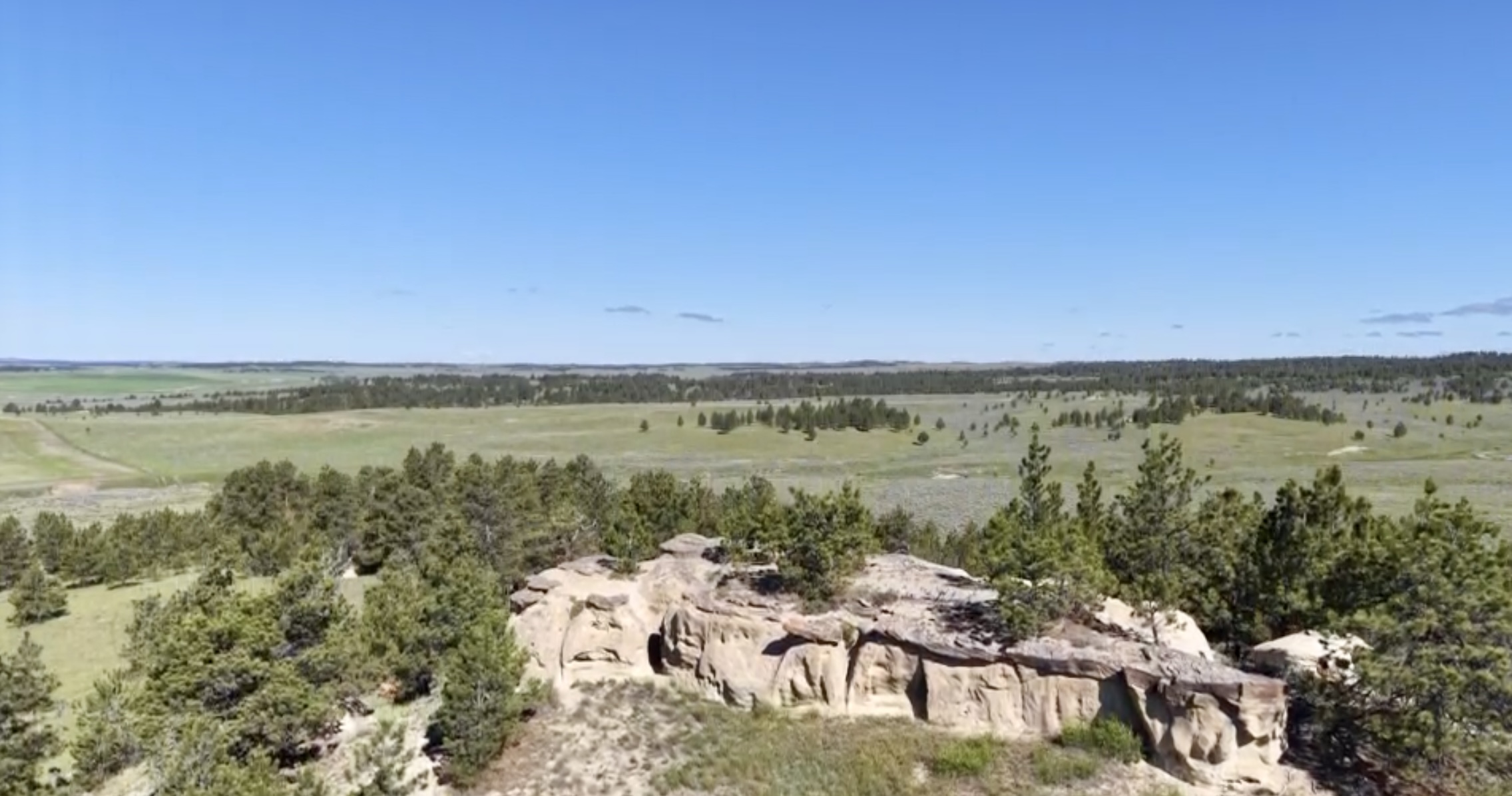 Newton Grove | Yellowstone County, Montana