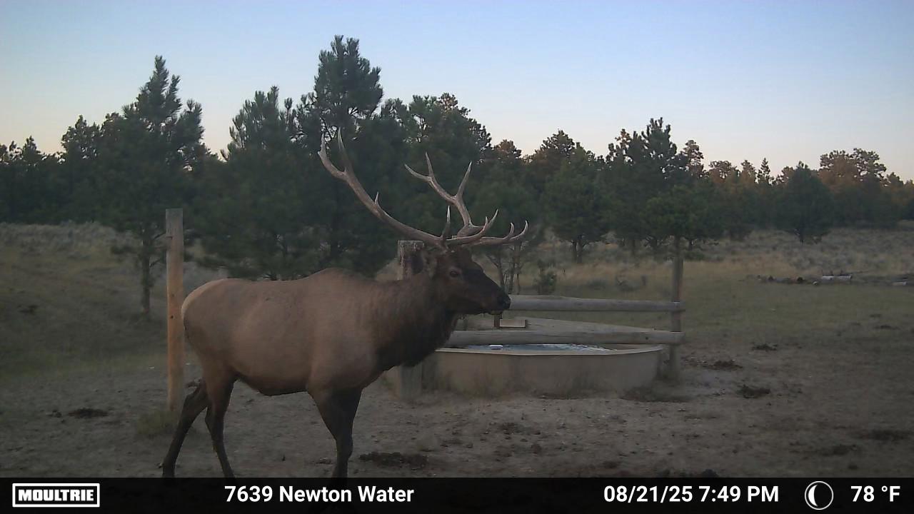 Newton Grove | Yellowstone County, Montana