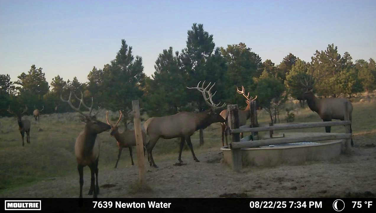Newton Grove | Yellowstone County, Montana