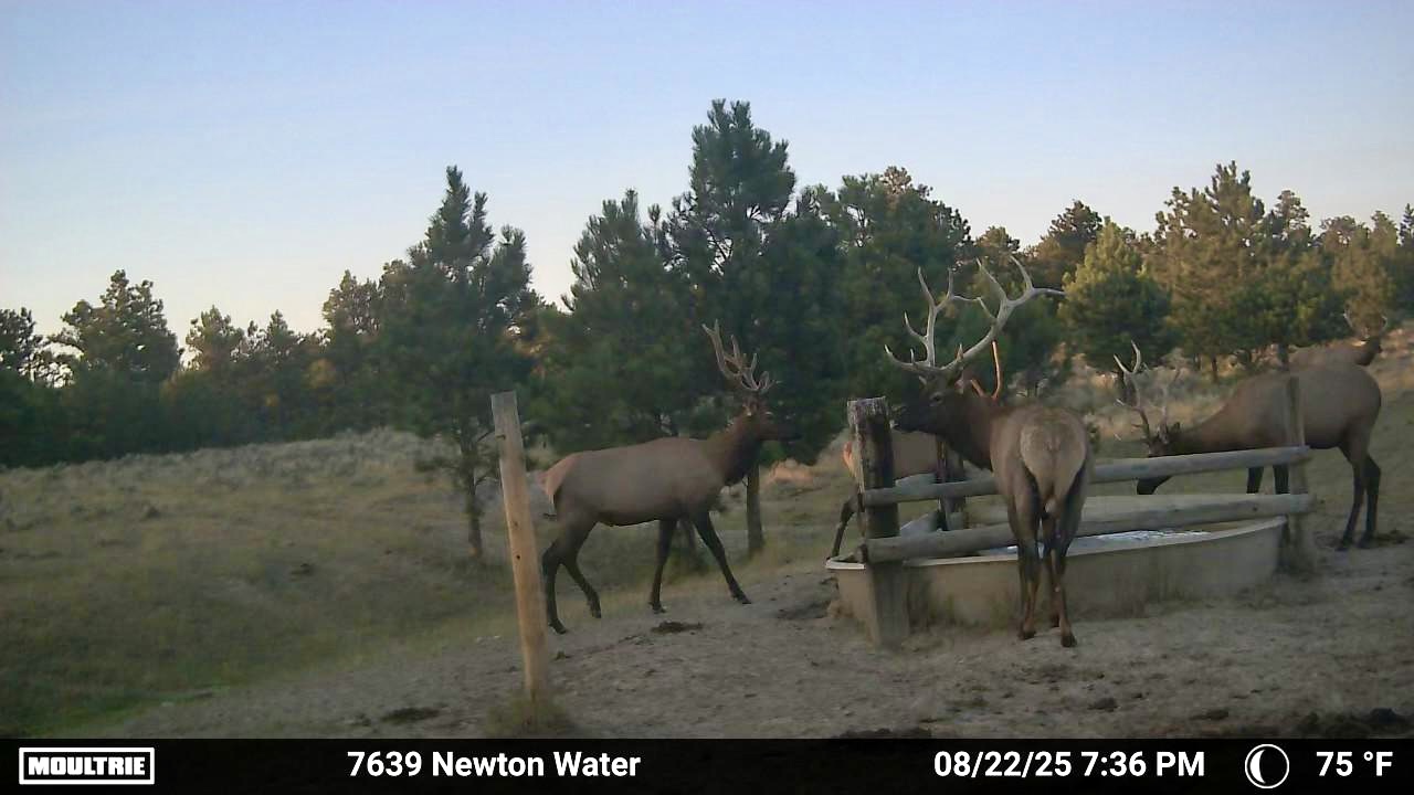 Newton Grove | Yellowstone County, Montana