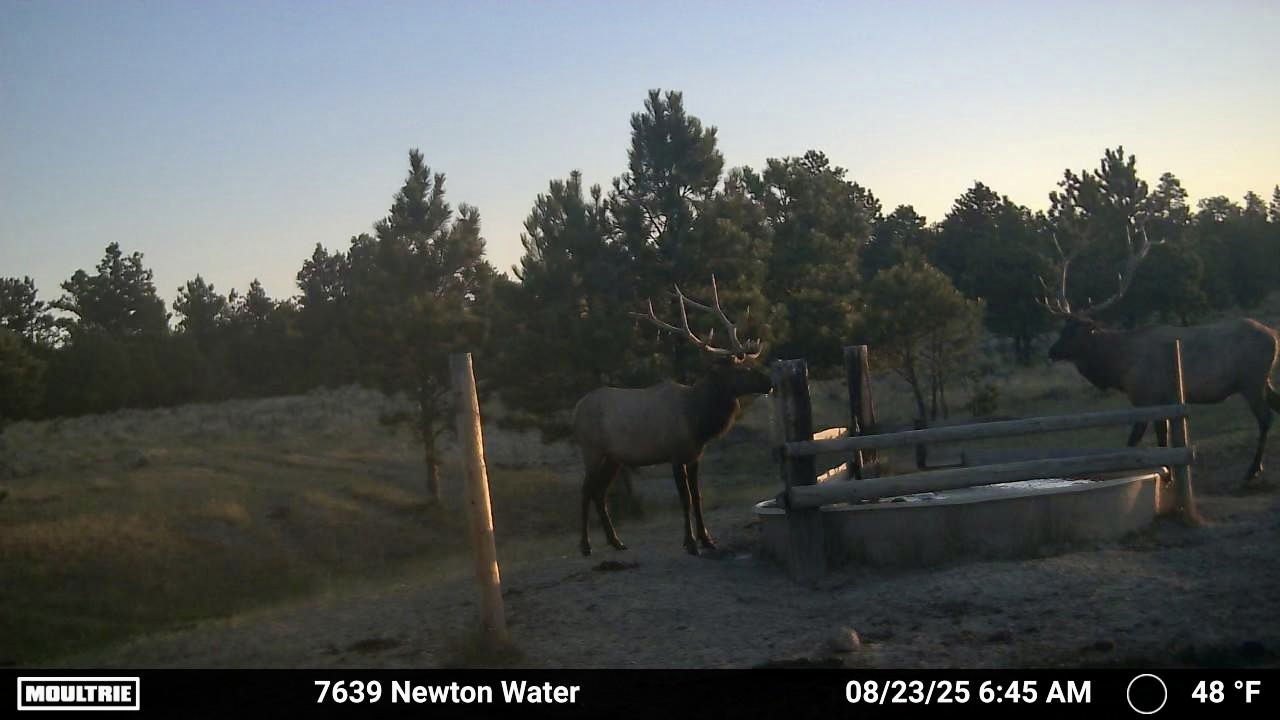 Newton Grove | Yellowstone County, Montana