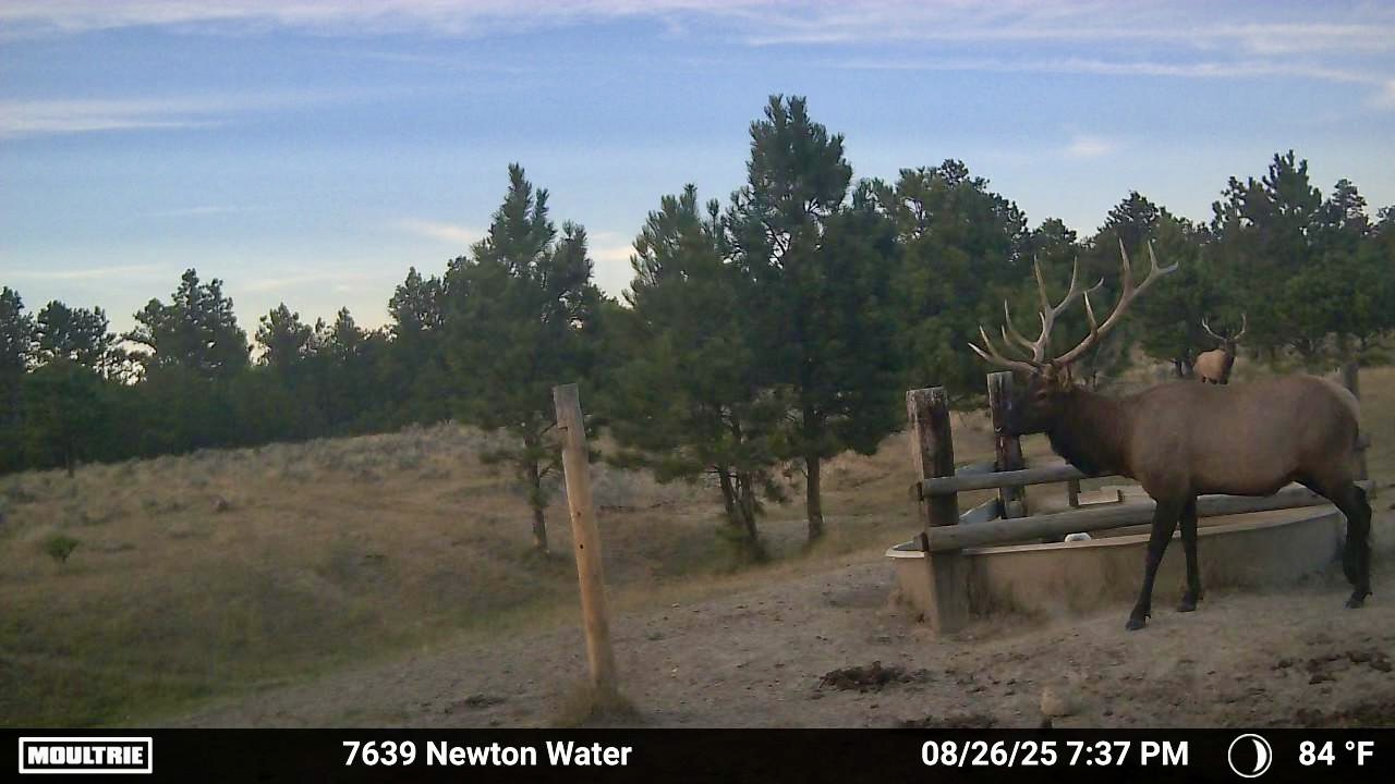 Newton Grove | Yellowstone County, Montana