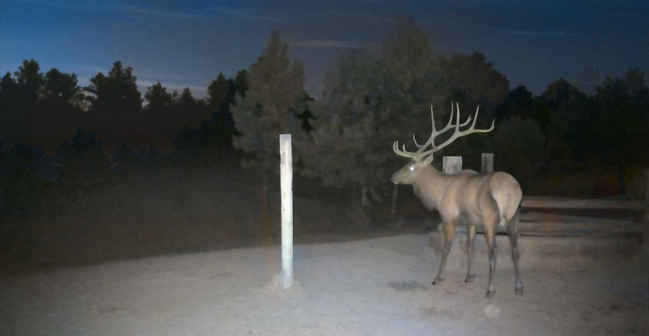 Newton Grove | Yellowstone County, Montana