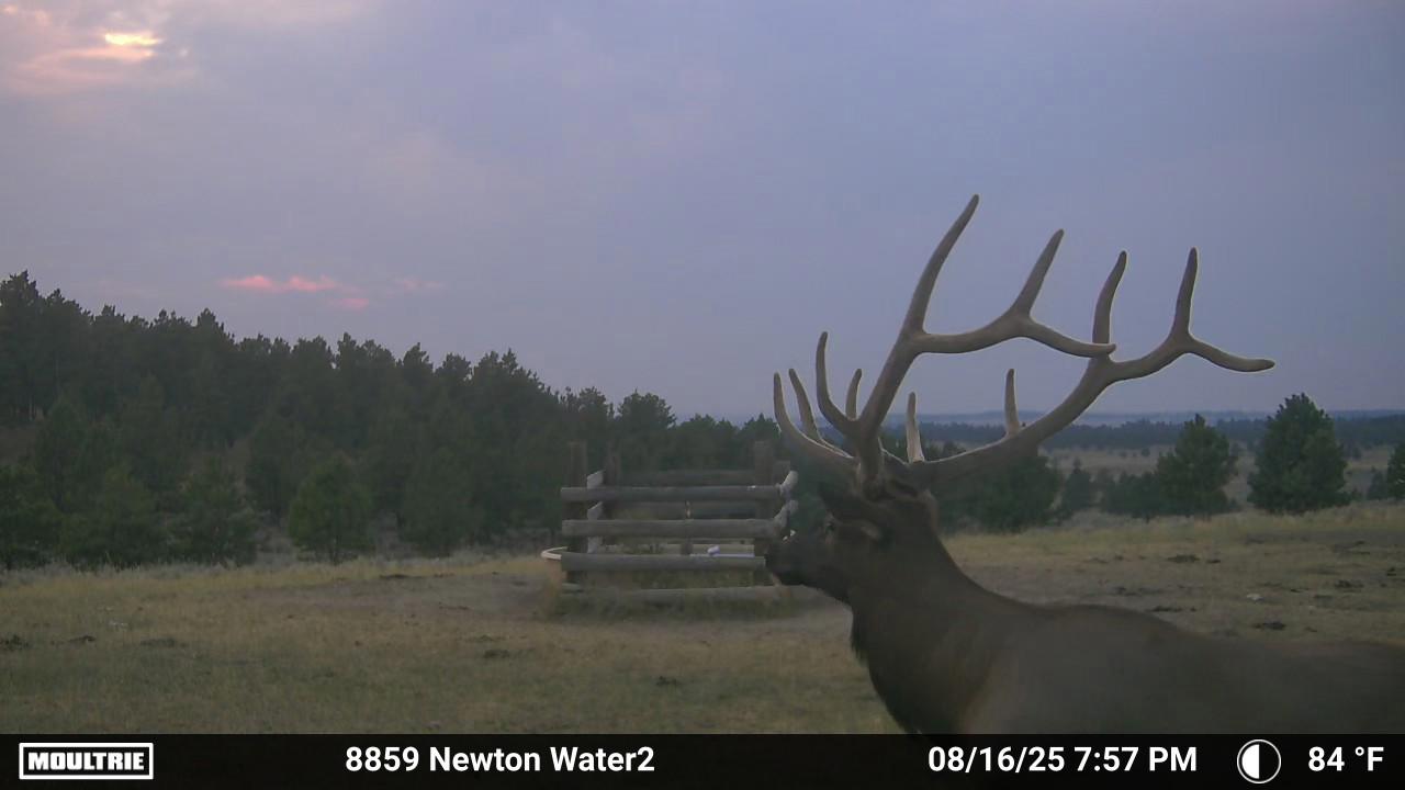 Newton Grove | Yellowstone County, Montana