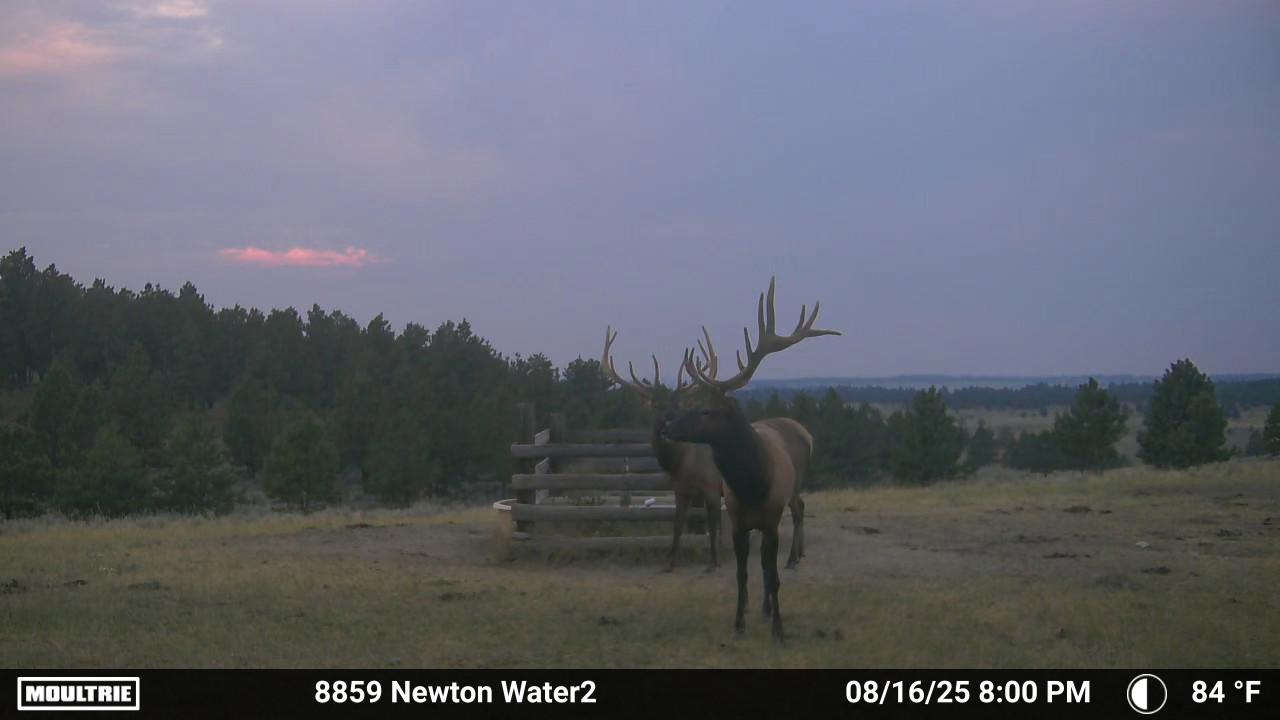 Newton Grove | Yellowstone County, Montana