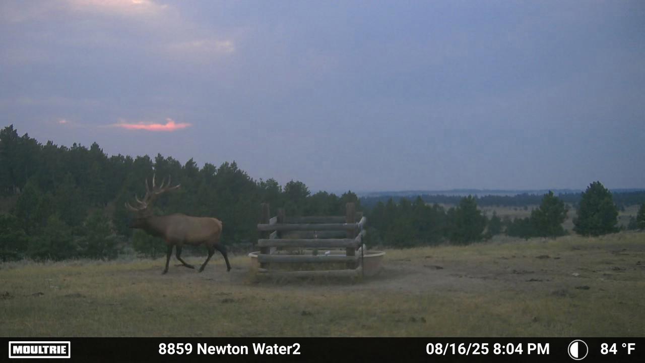 Newton Grove | Yellowstone County, Montana