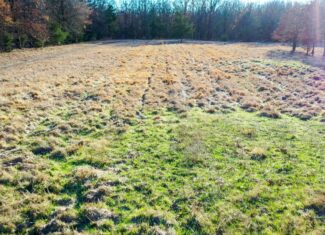 Recreational & Hunting Property in Lamar and Red River County, Texas