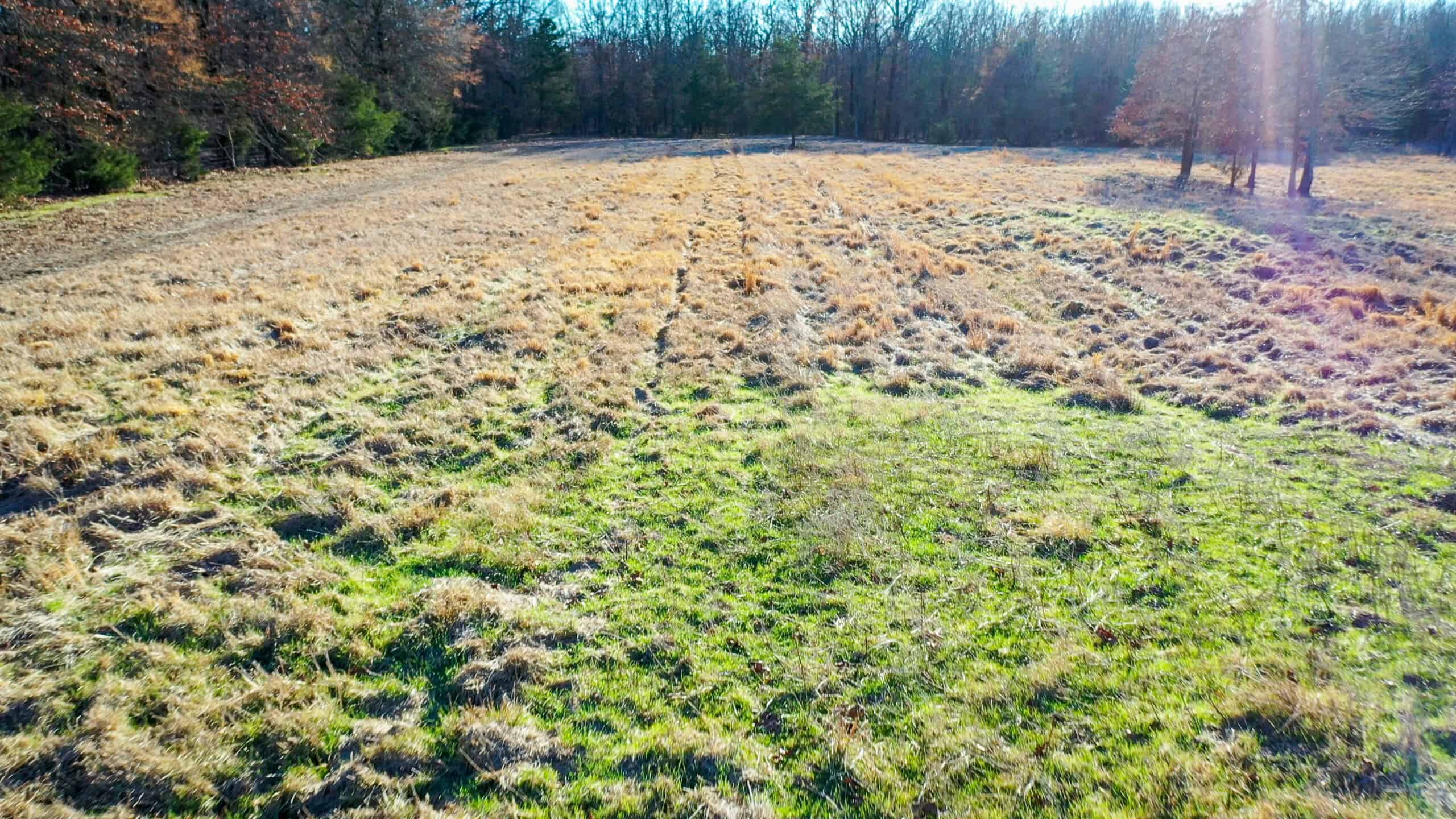Recreational & Hunting Property in Lamar and Red River County, Texas