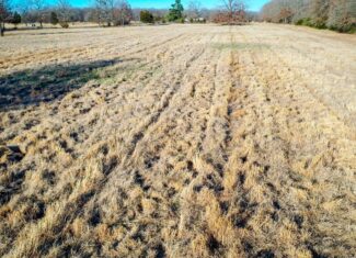 Recreational & Hunting Property in Lamar and Red River County, Texas