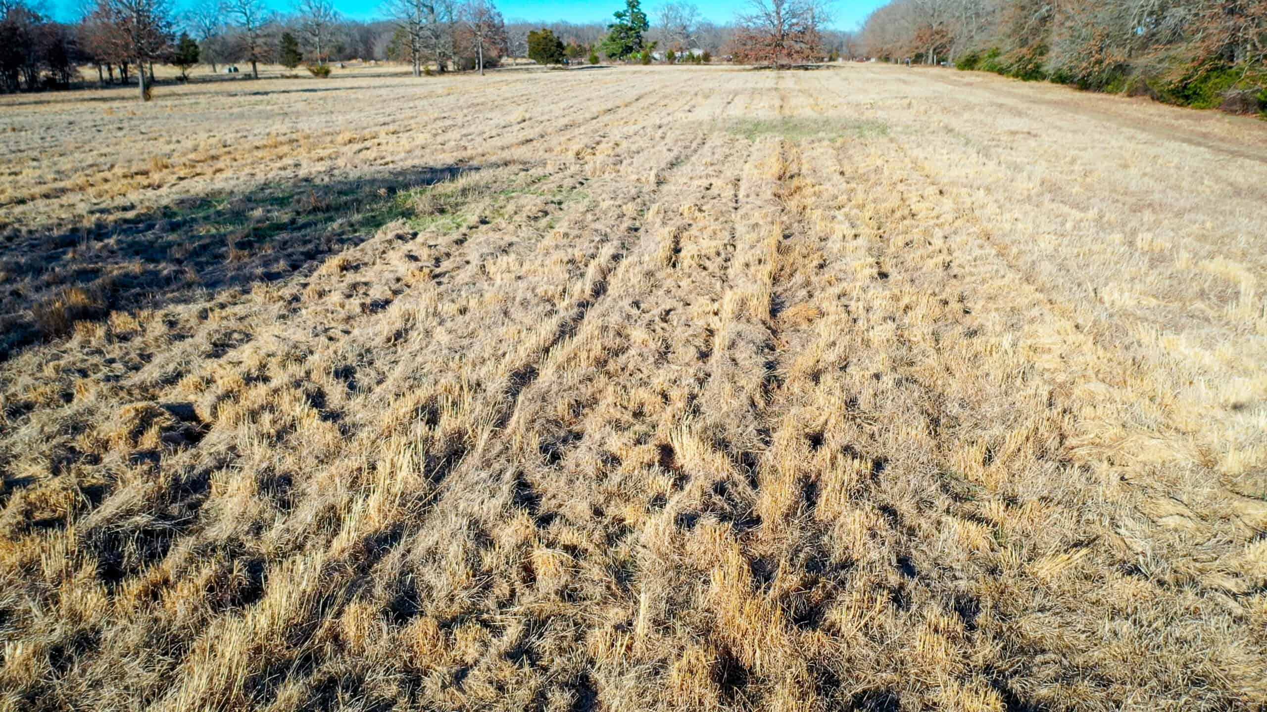 Recreational & Hunting Property in Lamar and Red River County, Texas